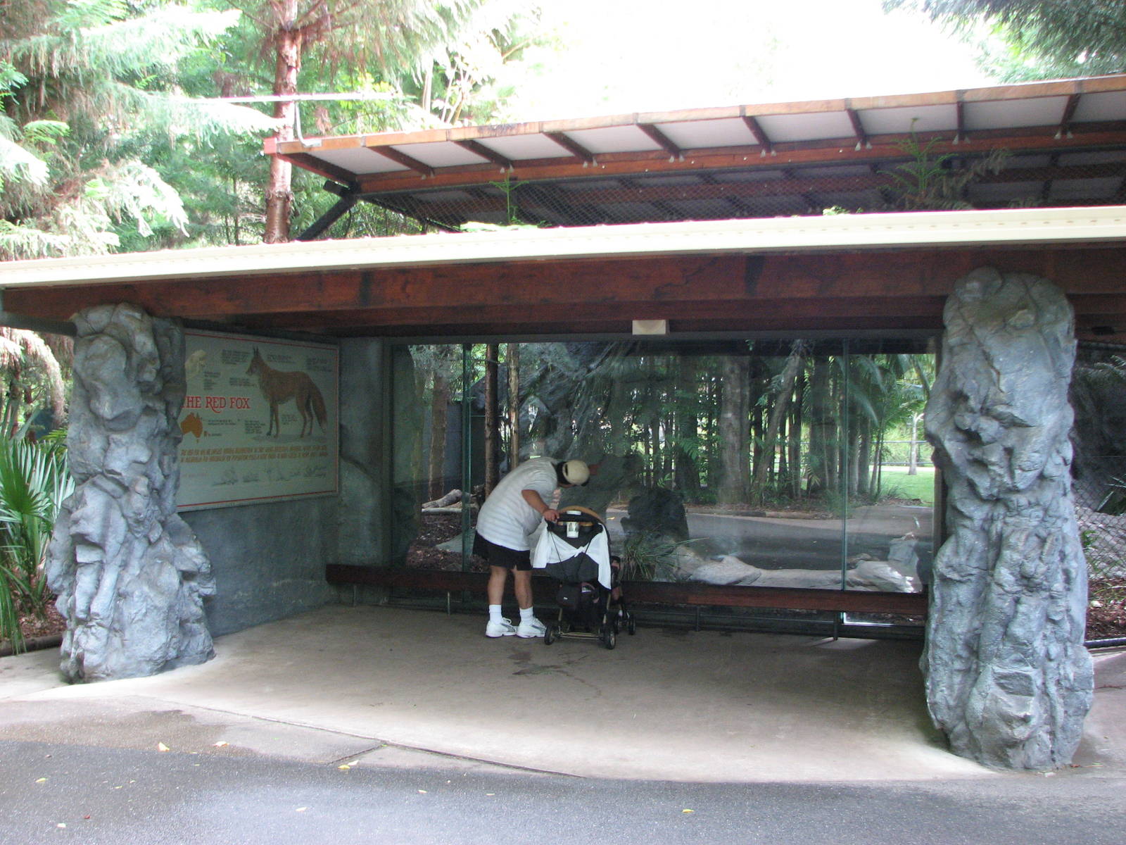 Australia Zoo 2007 - Front of the Red Fox exhibit