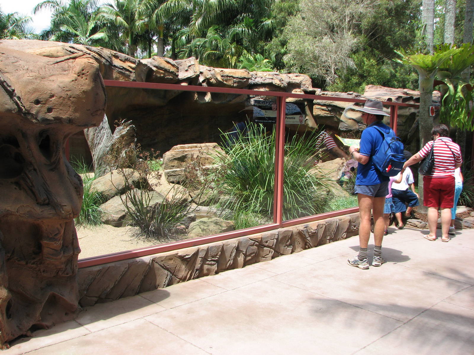 Australia Zoo 2007 - Goanna exhibit