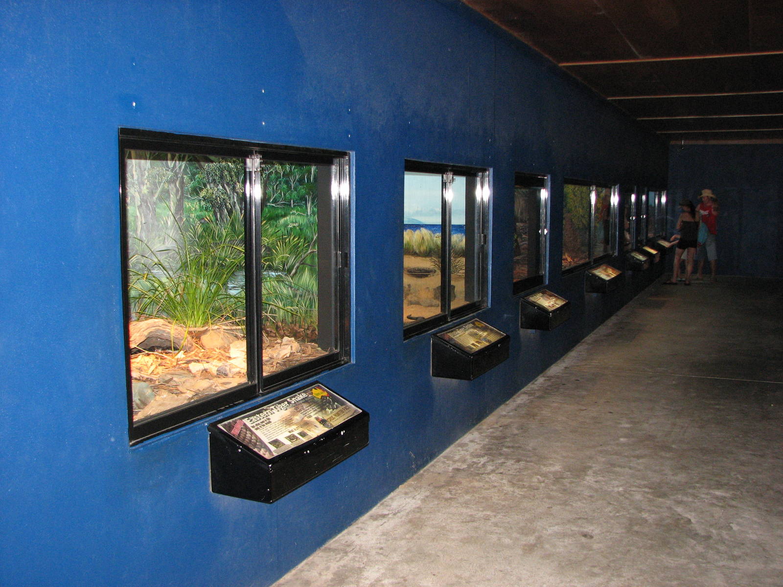Australia Zoo 2007 - Inside the Snake House
