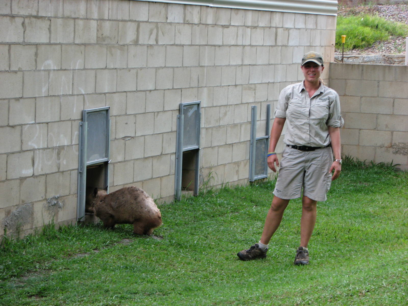 Australia Zoo 2007 - Keeper with a Wombat
