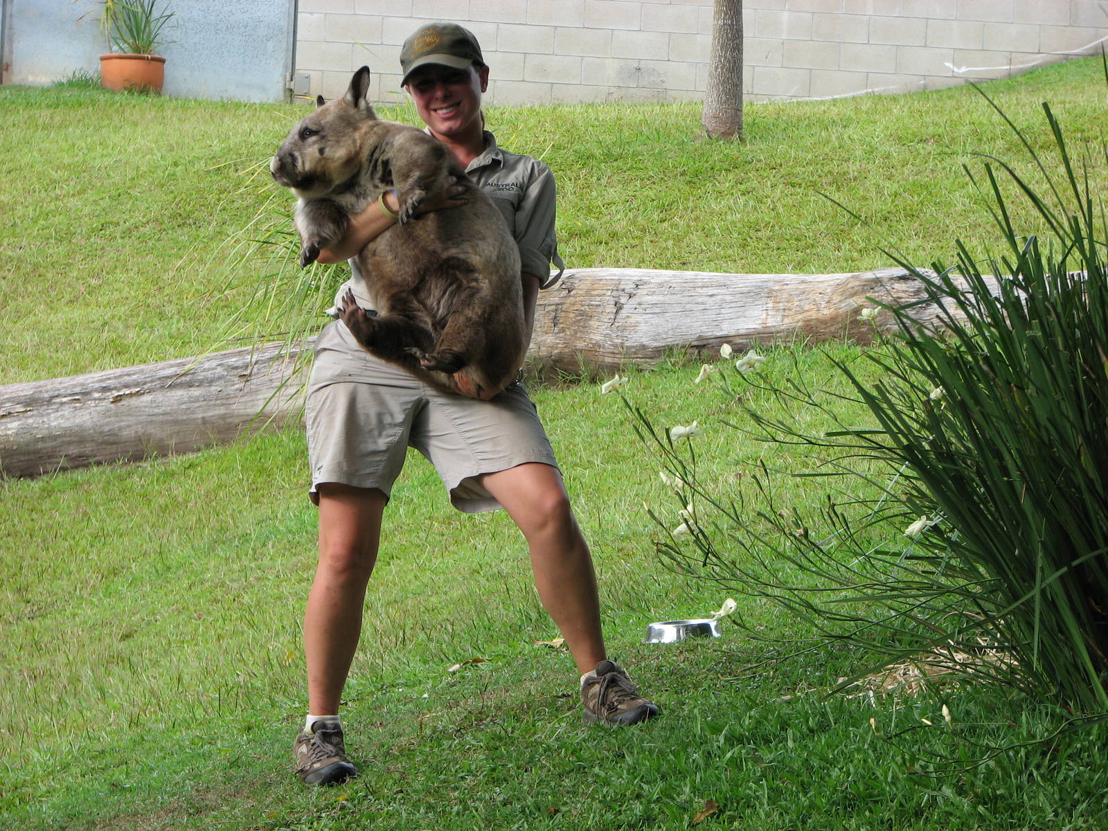 Australia Zoo 2007 - Keeper with a Wombat