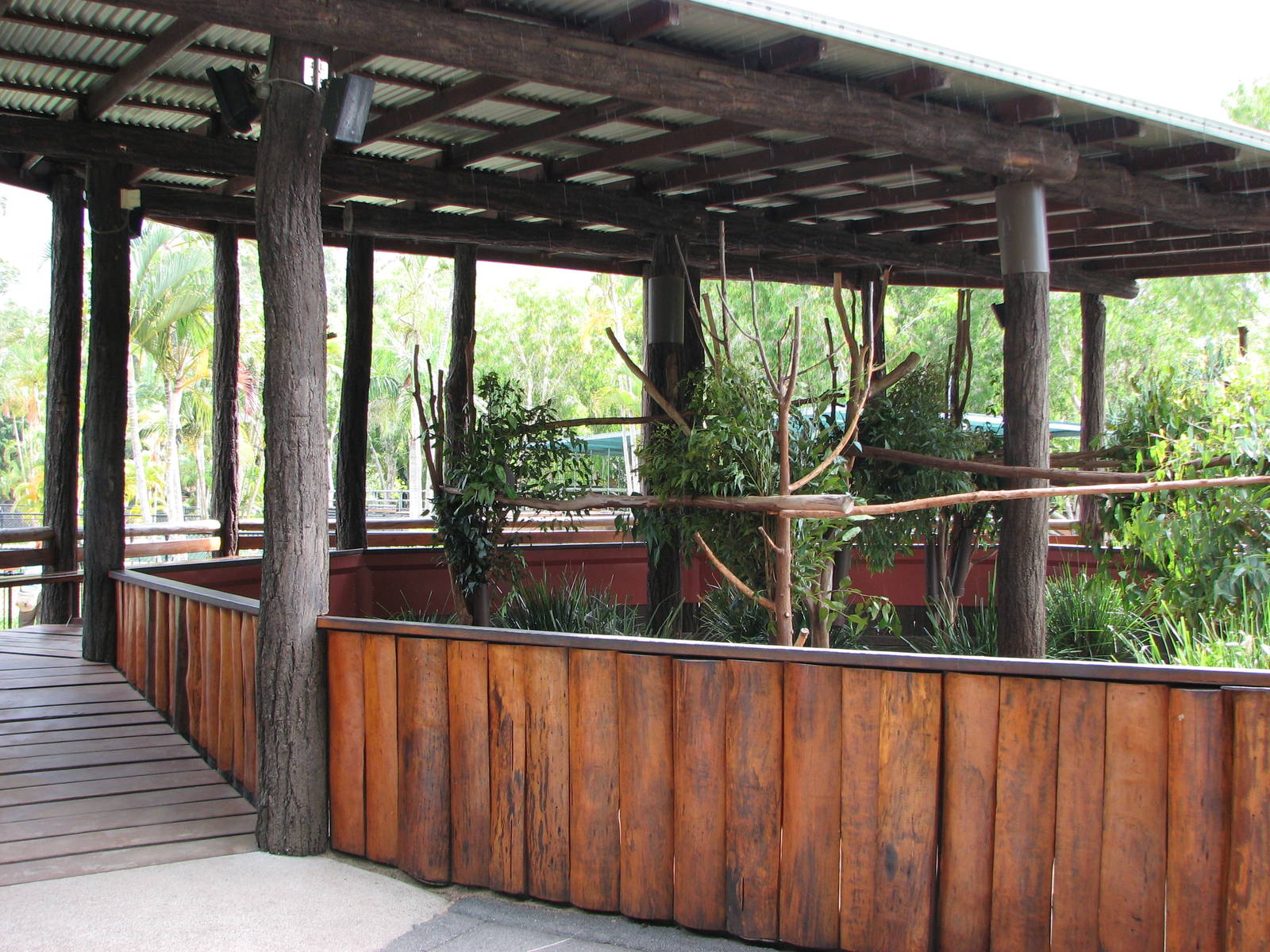 Australia Zoo 2007 - Koala exhibit