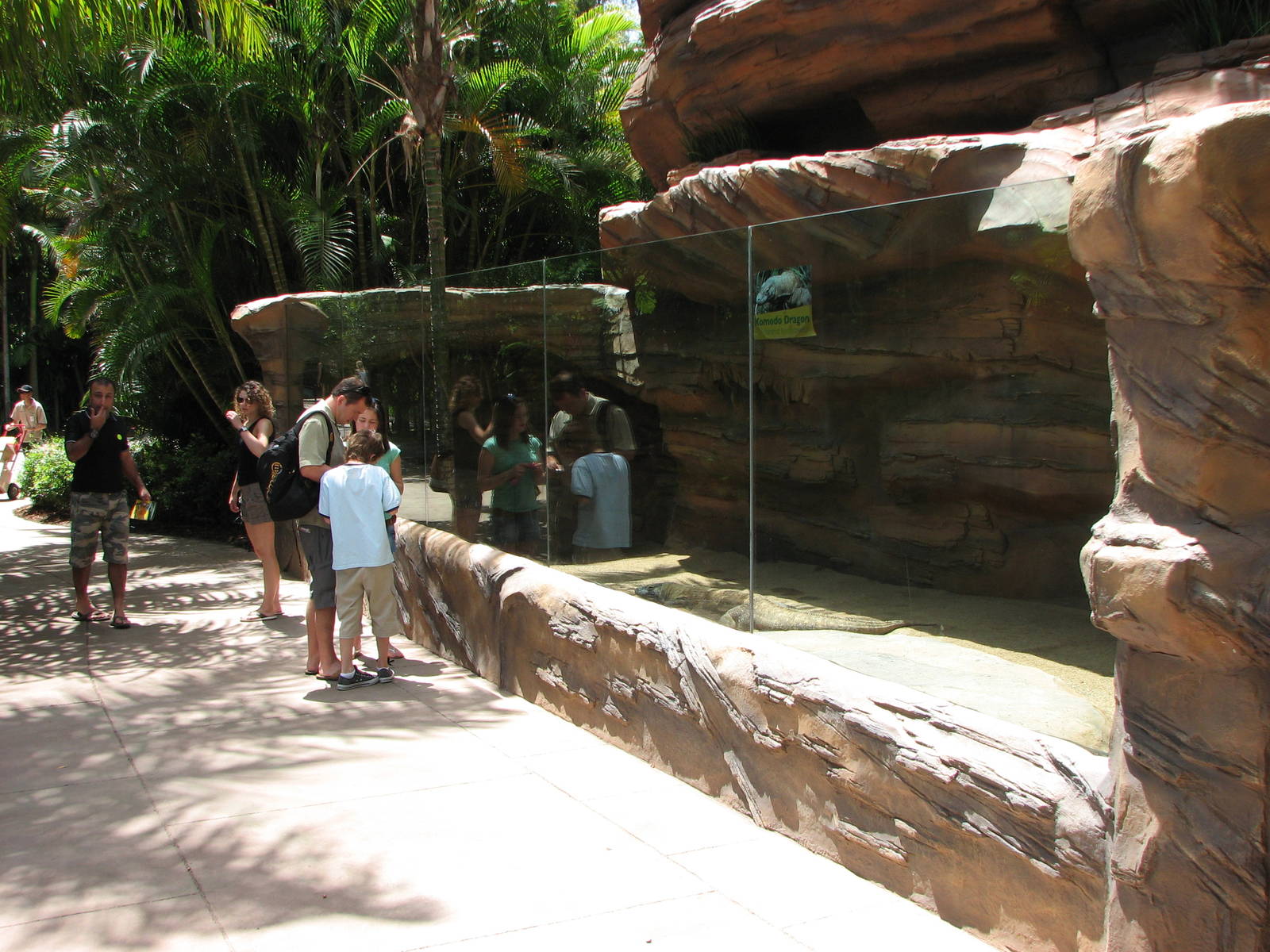 Australia Zoo 2007 - Komodo Dragon exhibit