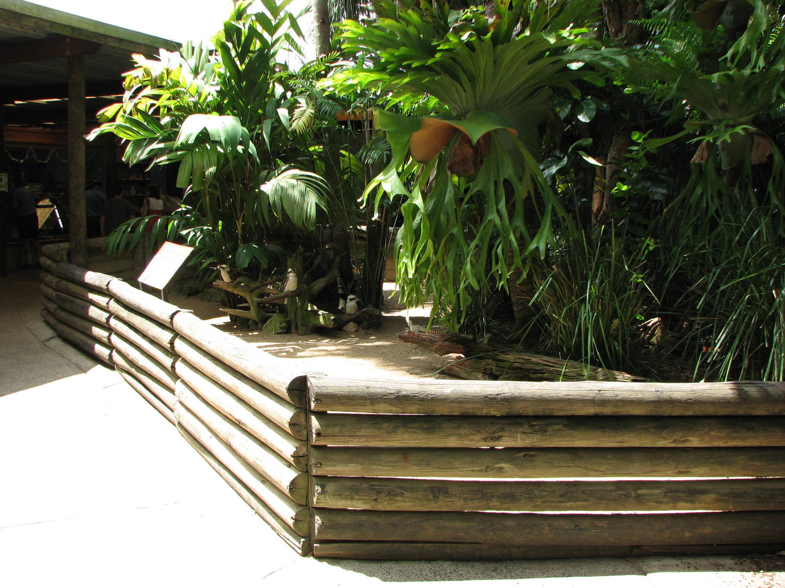 Australia Zoo 2007 - Kookaburra and Tawny Frogmouth exhibit