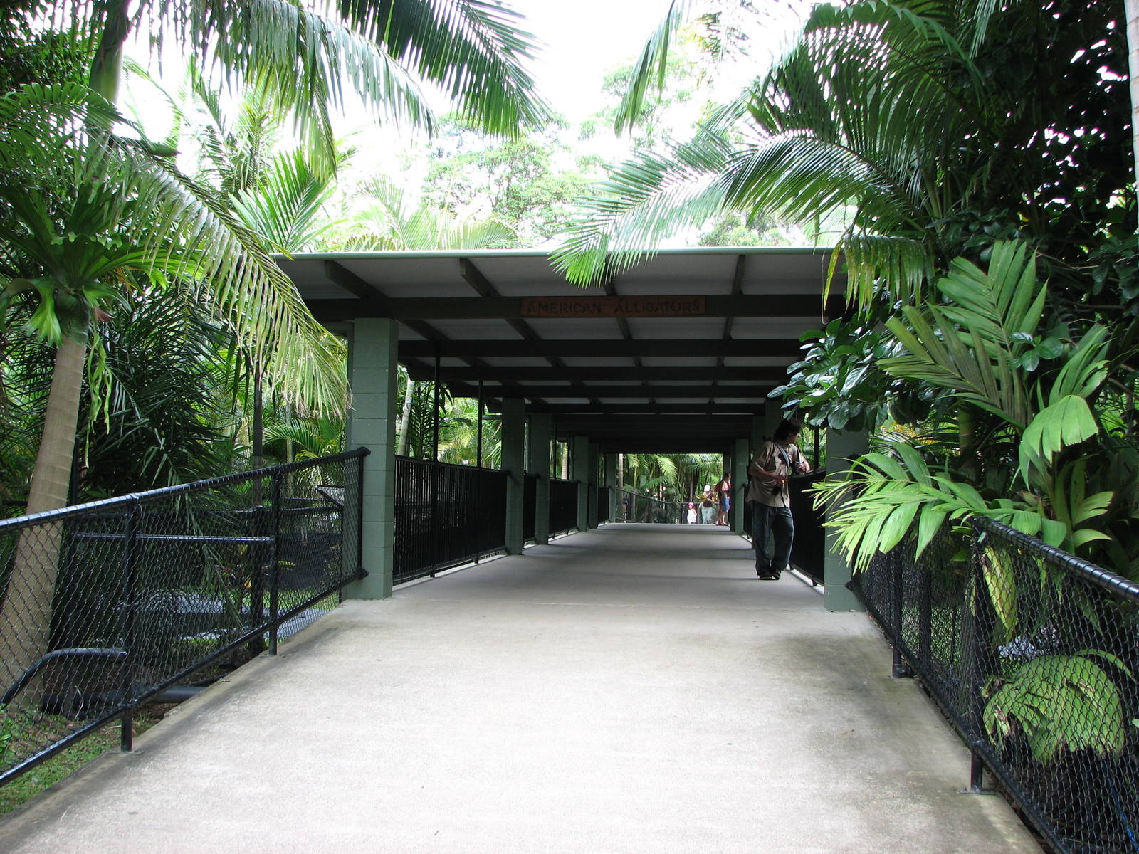 Australia Zoo 2007 - Passage past the Alligator exhibits
