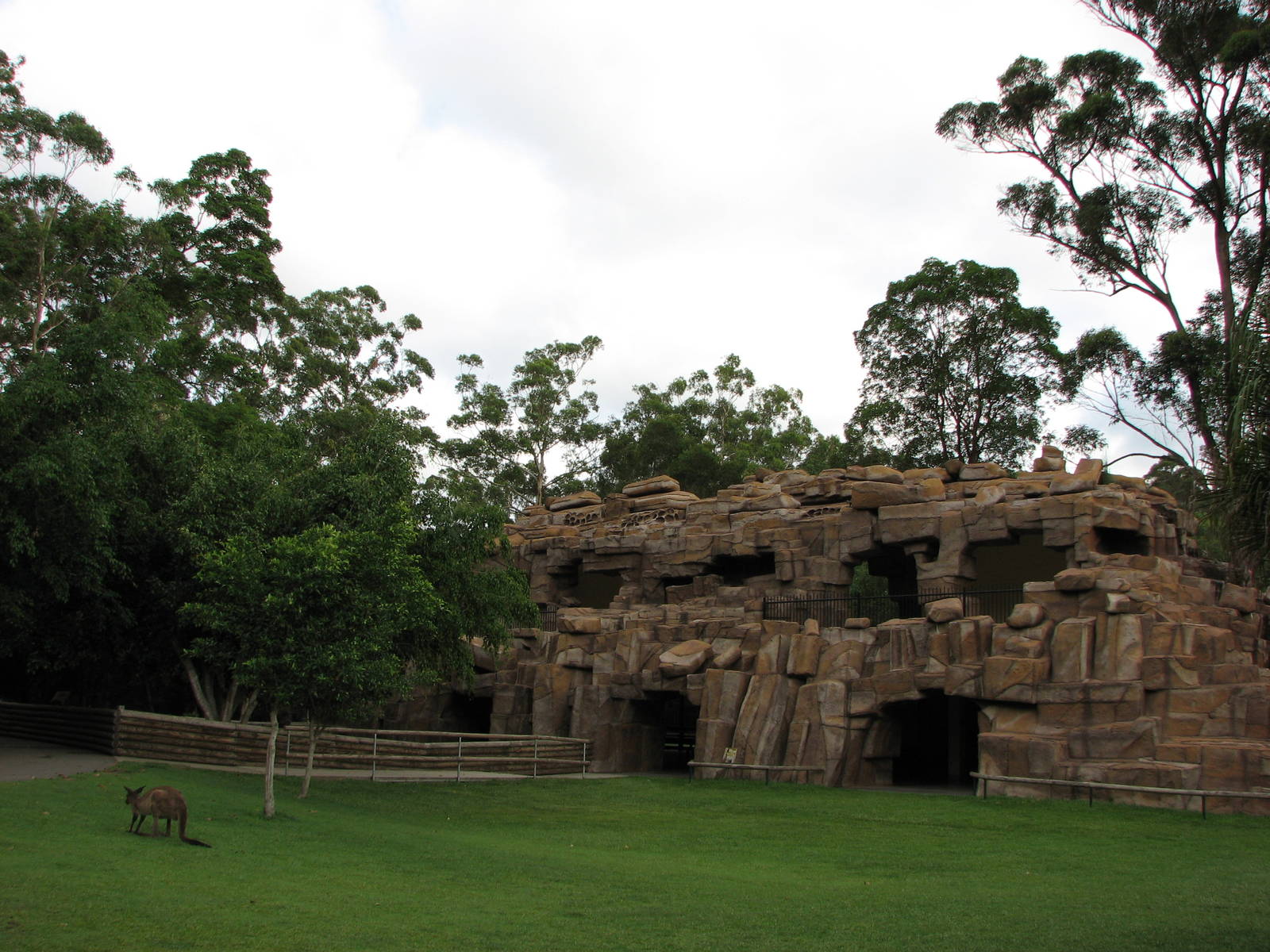 Australia Zoo 2007 - Roo Heaven