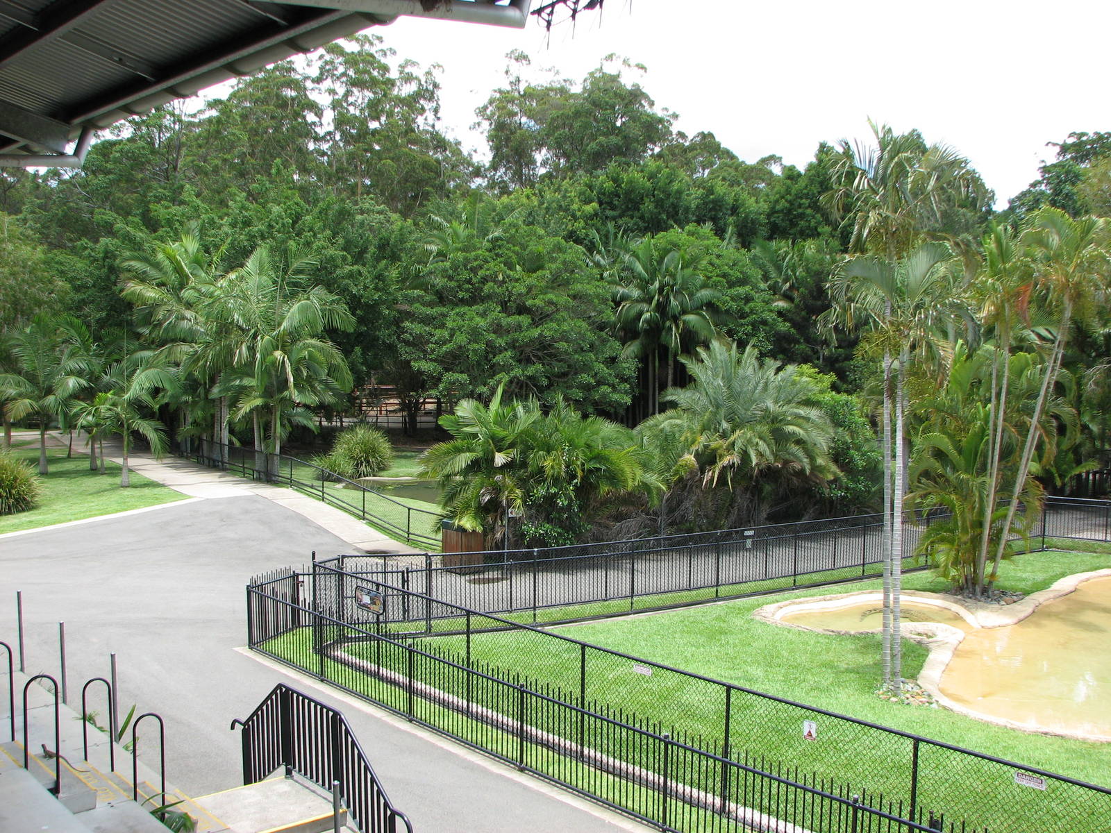 Australia Zoo 2007 - Saltwater Crocodile exhibit seen from the restaurant