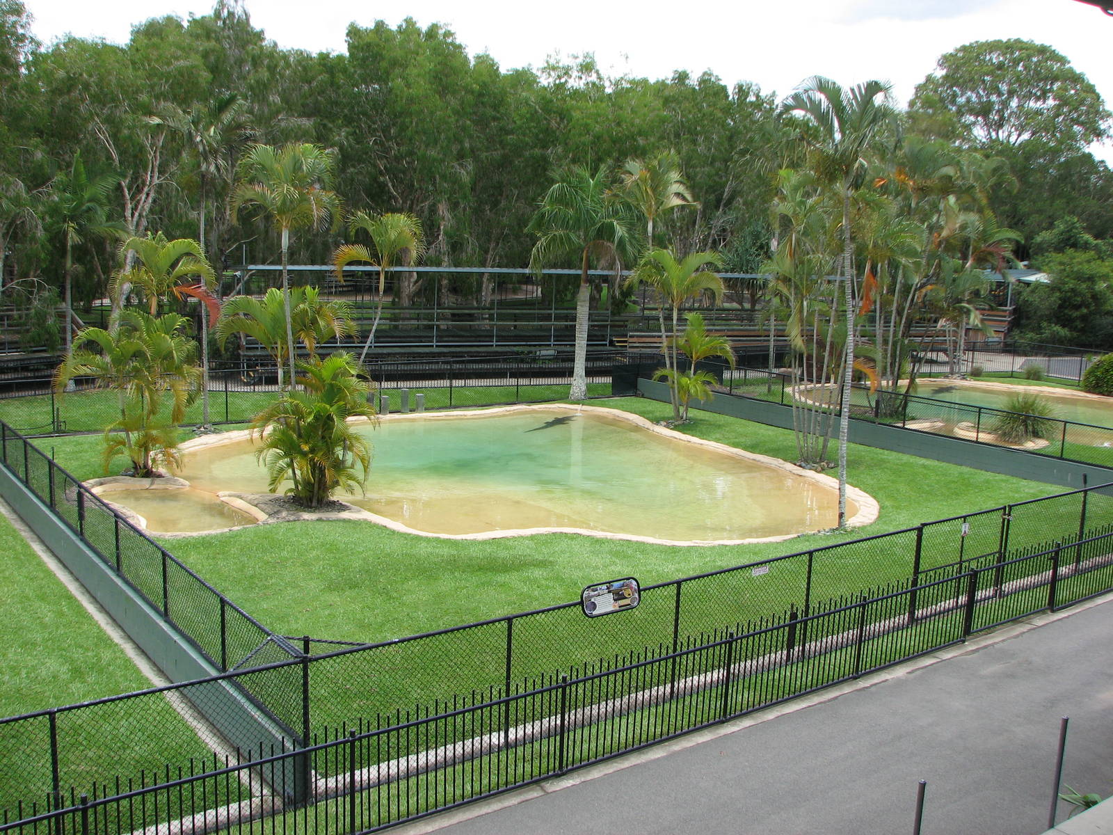 Australia Zoo 2007 - Saltwater Crocodile exhibit seen from the restaurant