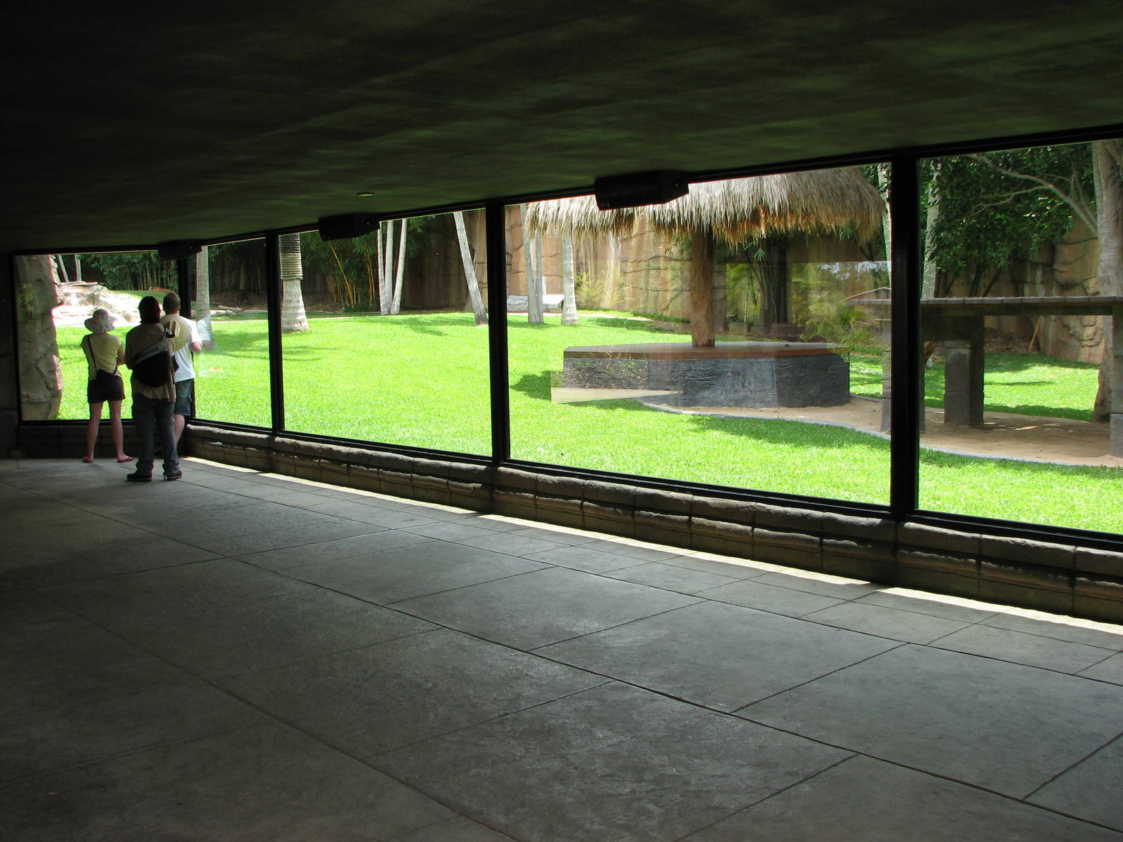 Australia Zoo 2007 - Tiger exhibit viewing window