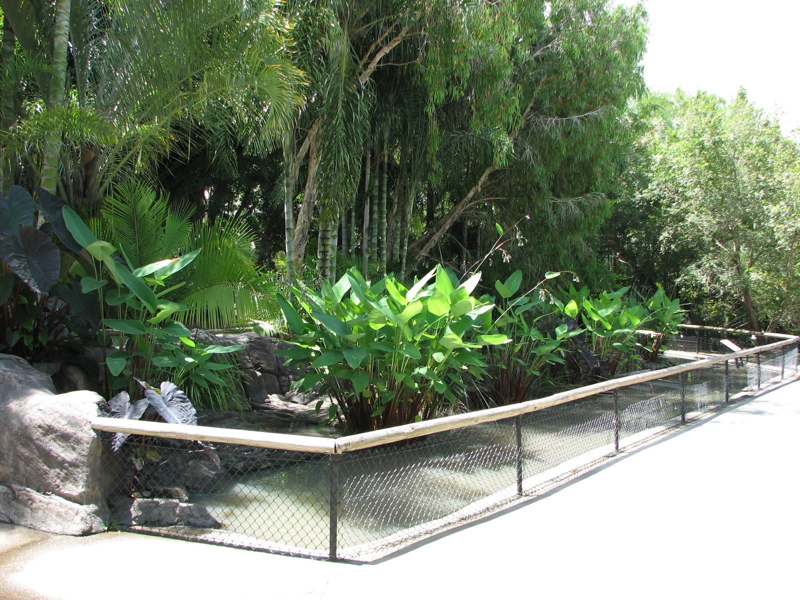 Australia Zoo 2007 - Tortoise exhibit