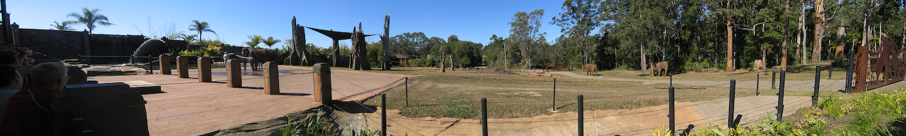Australia Zoo - Elephants Panorama