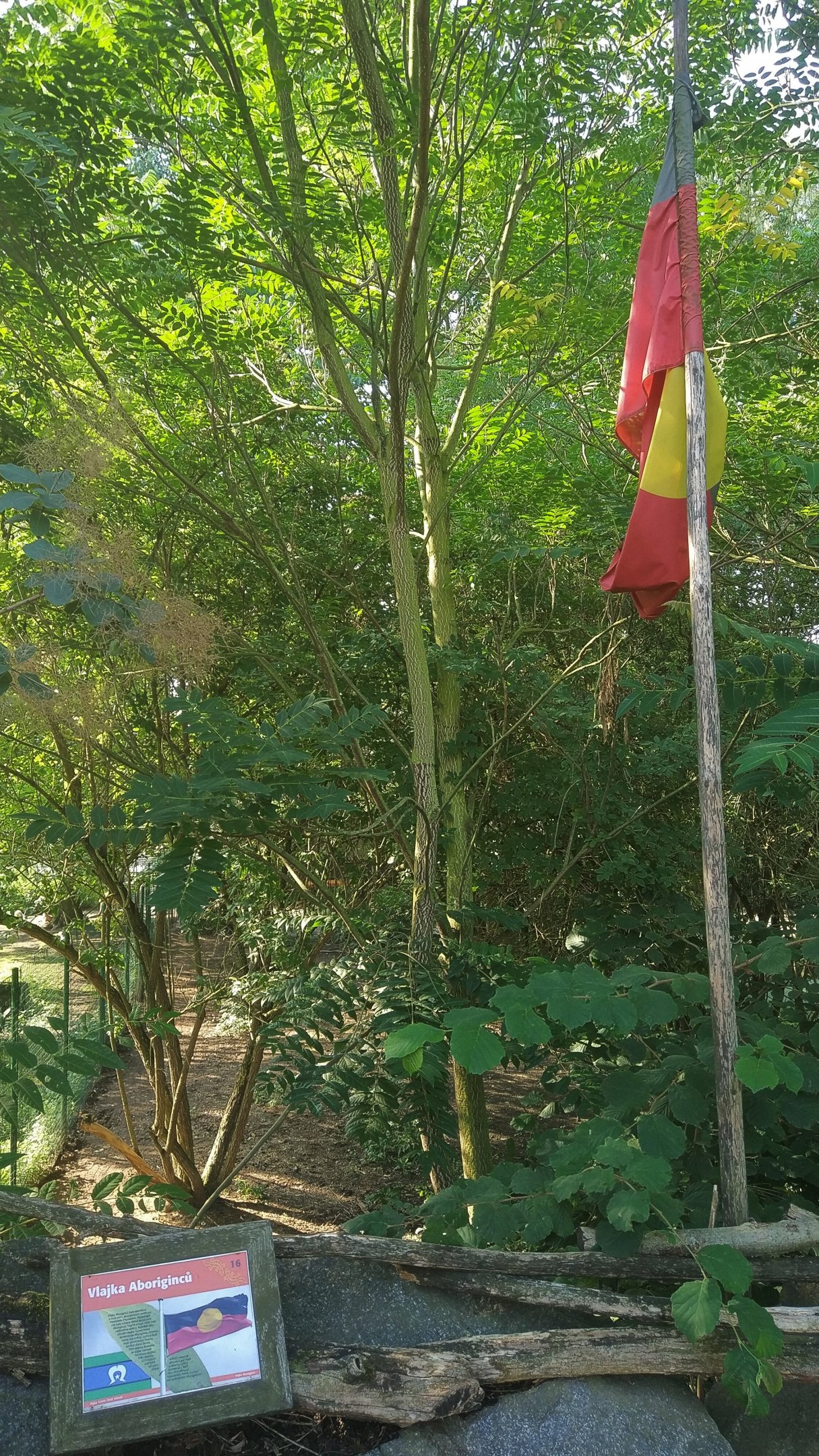 Australian Aboriginal Flag