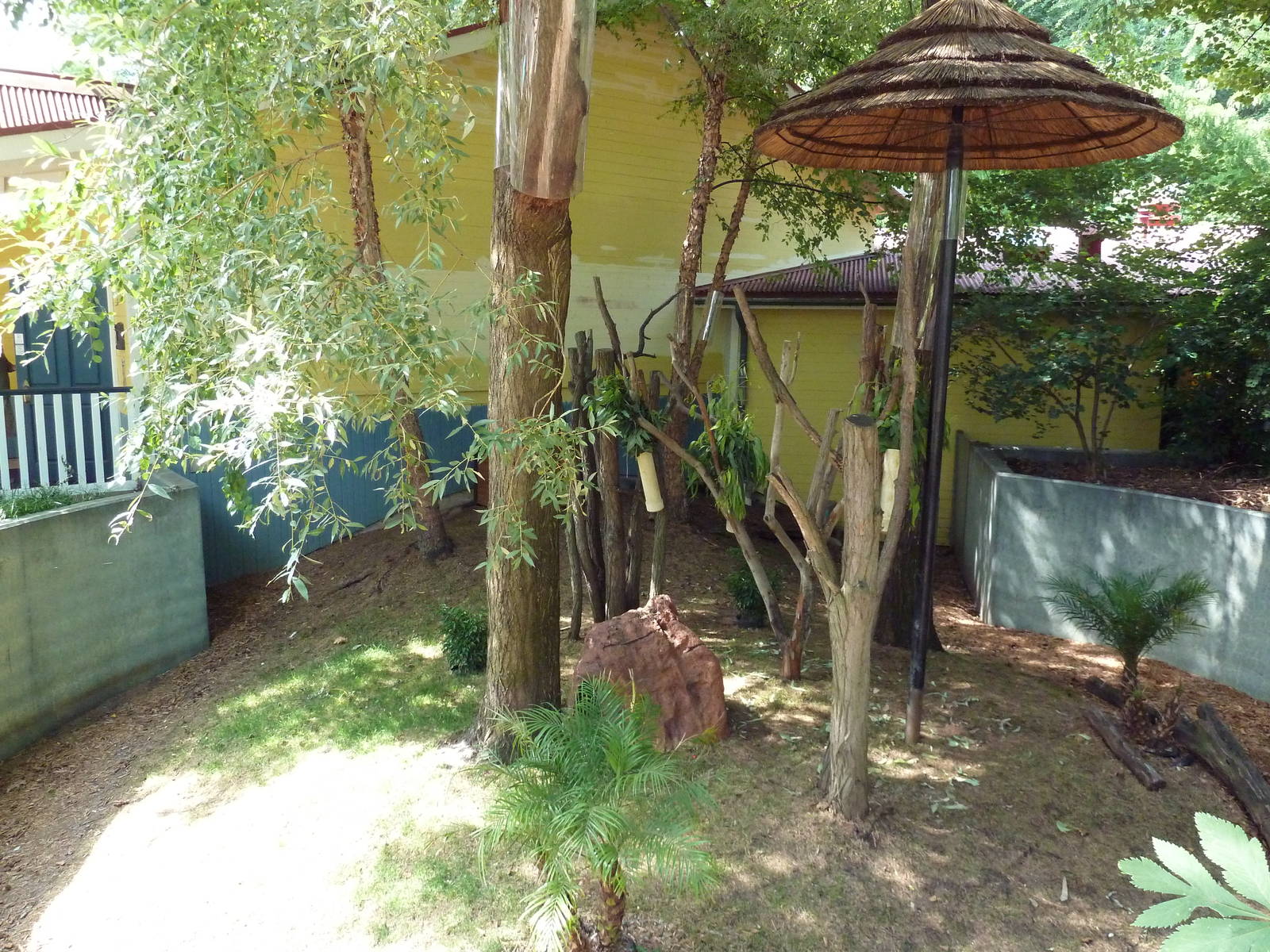 Australian Adventure - Koala Exhibit