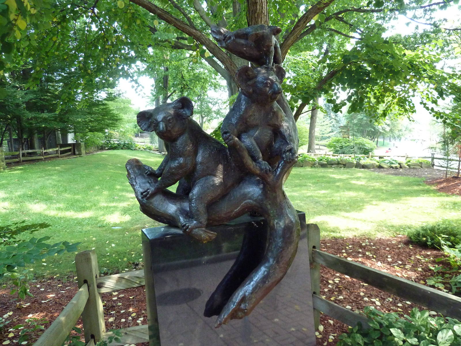 Australian Adventure - Koala Statue