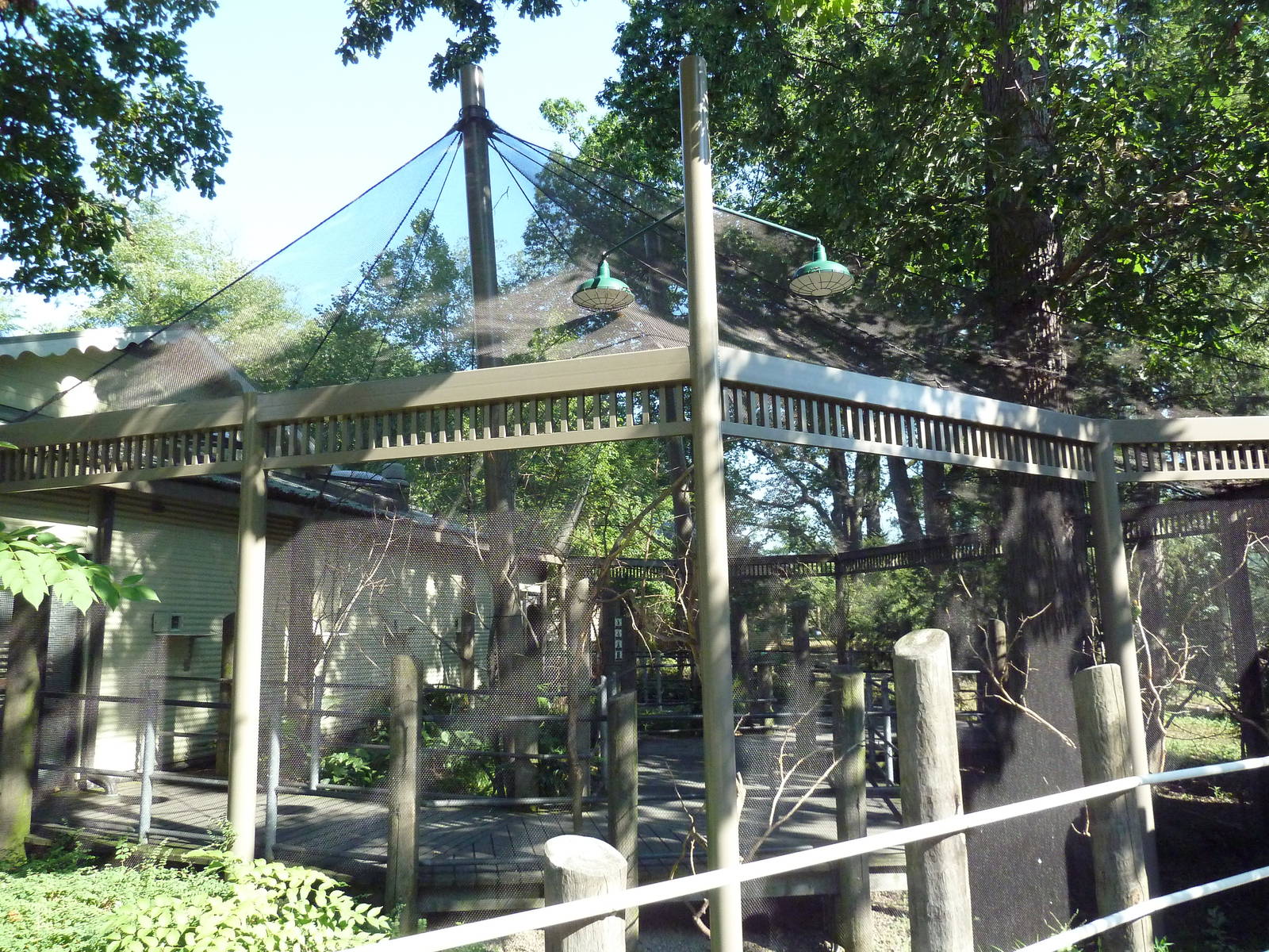 Australian Adventure - Lorikeet Lane Aviary