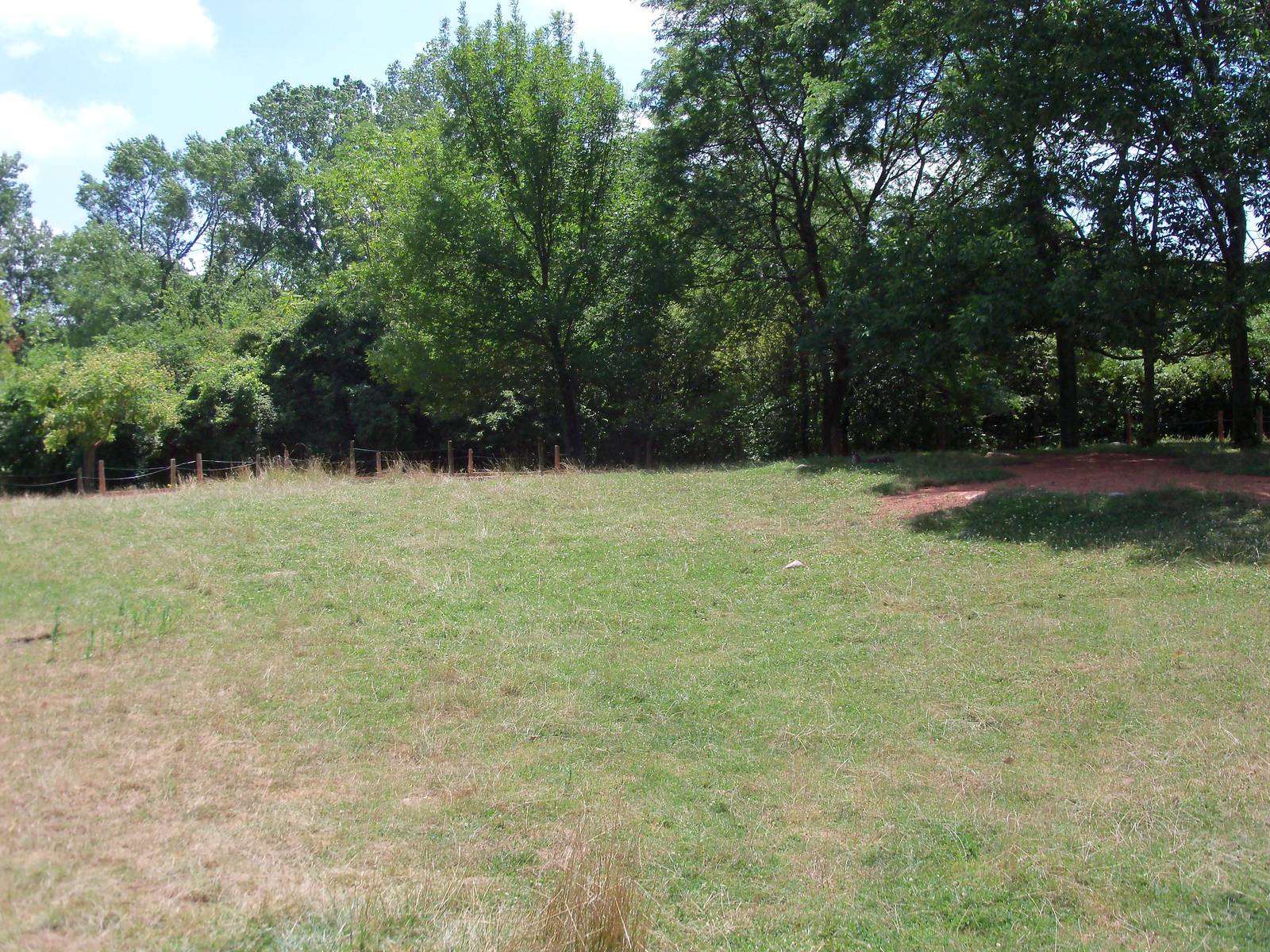 Australian Adventure - Walk-Through Eastern Grey Kangaroo Exhibit