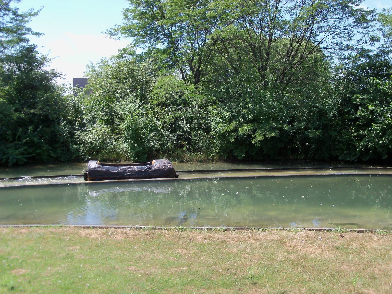 Australian Adventure - Walk-Through Eastern Grey Kangaroo Exhibit