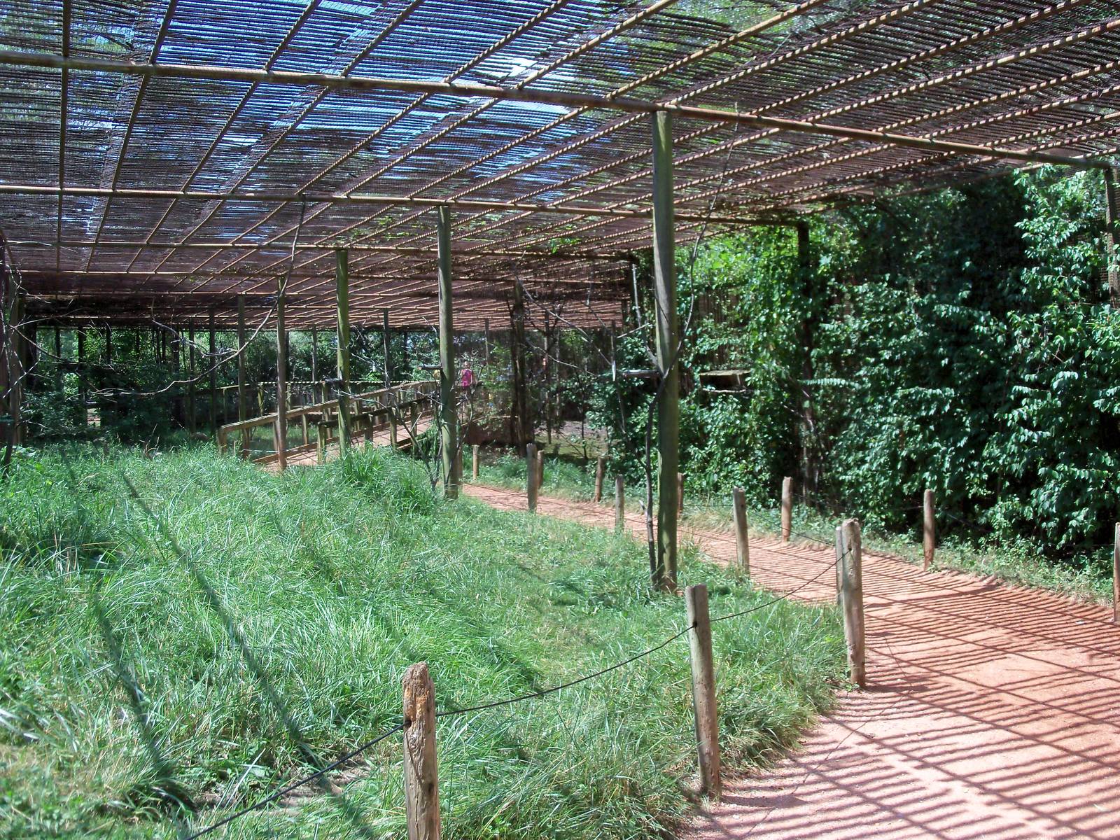 Australian Adventure - Walkabout Aviary