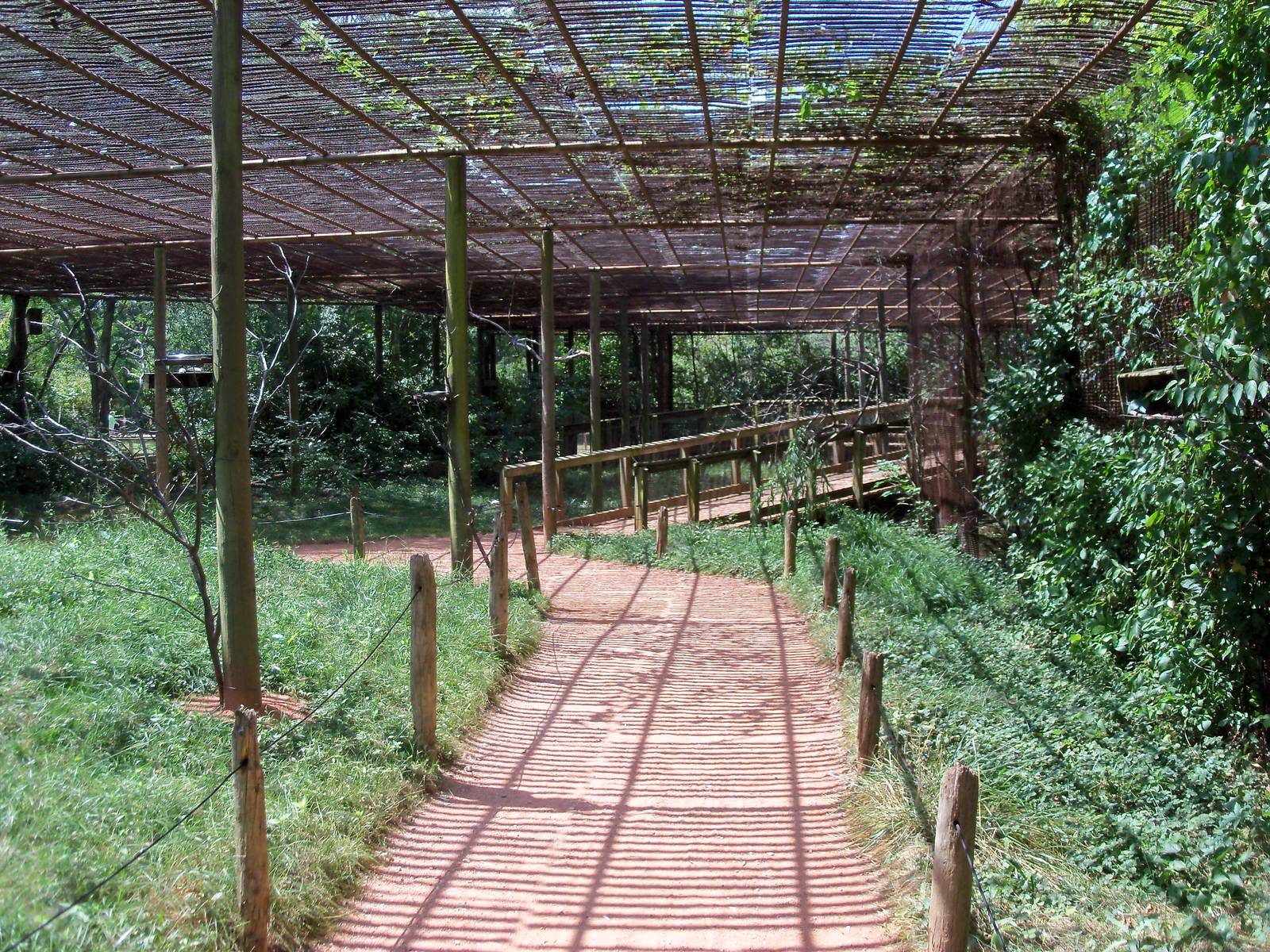 Australian Adventure - Walkabout Aviary