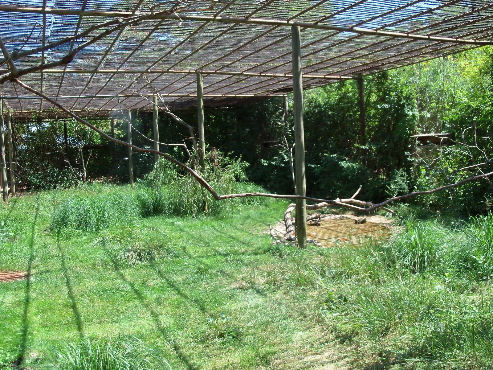 Australian Adventure - Walkabout Aviary