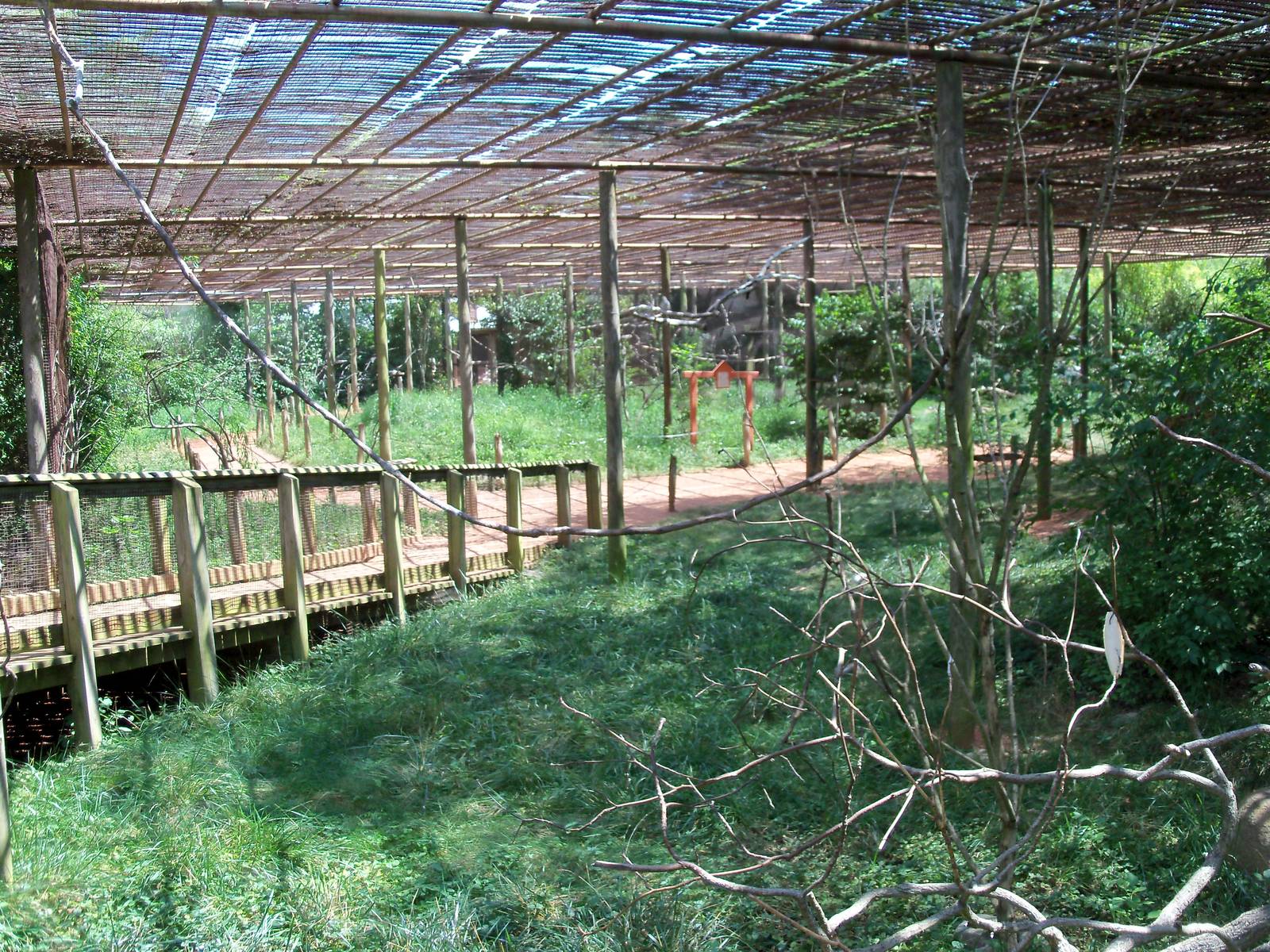 Australian Adventure - Walkabout Aviary