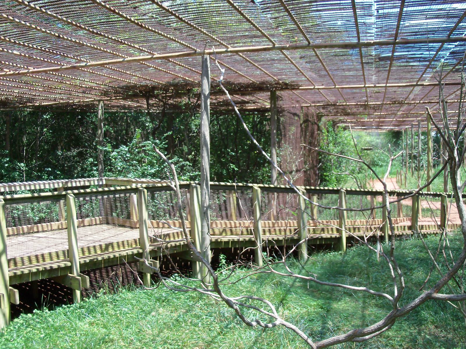 Australian Adventure - Walkabout Aviary