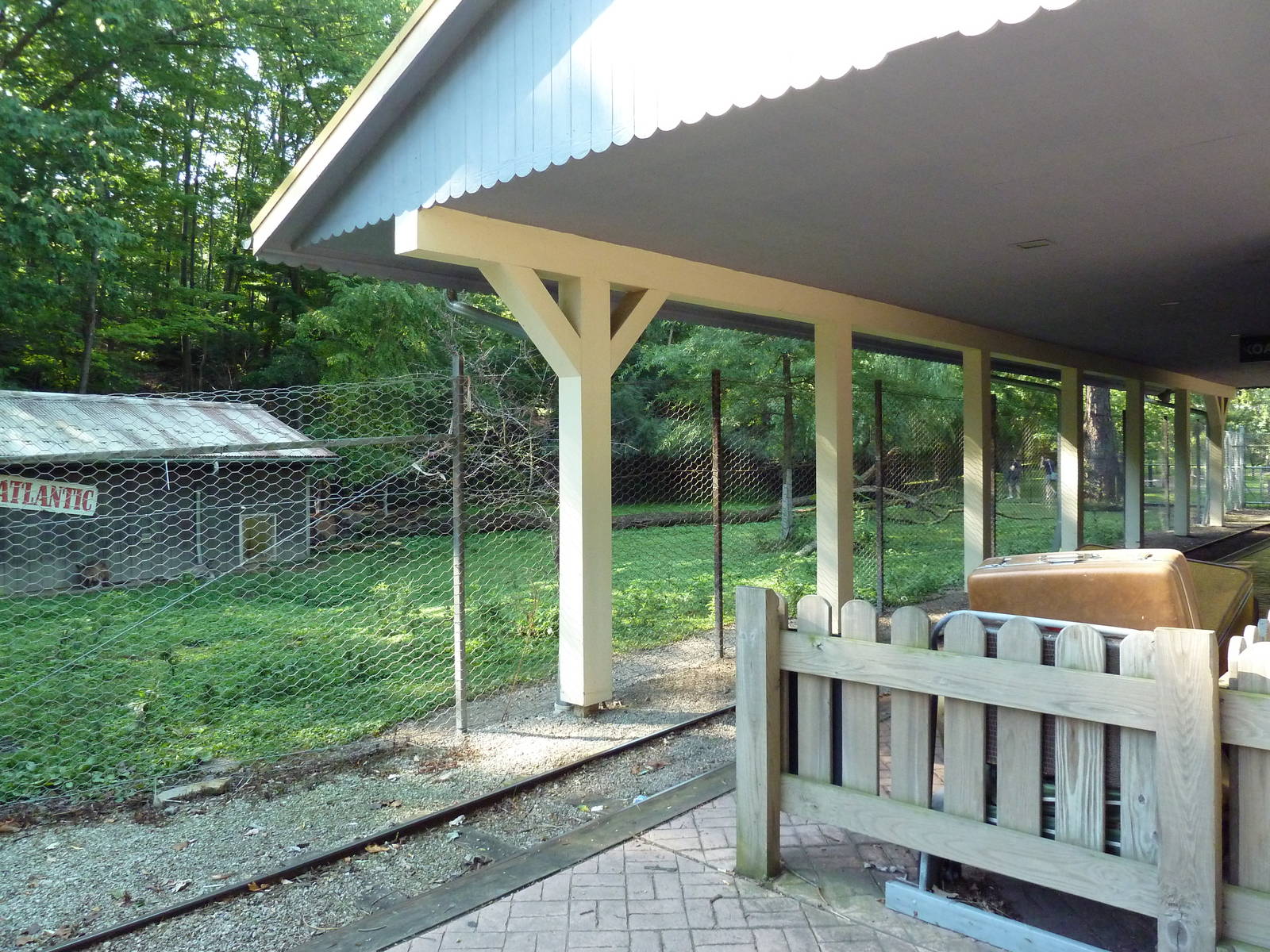 Australian Adventure - Wallaby Walkabout