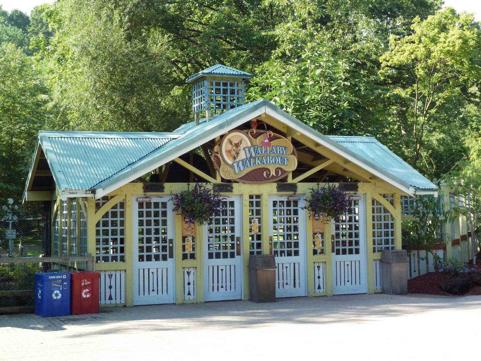 Australian Adventure - Wallaby Walkabout