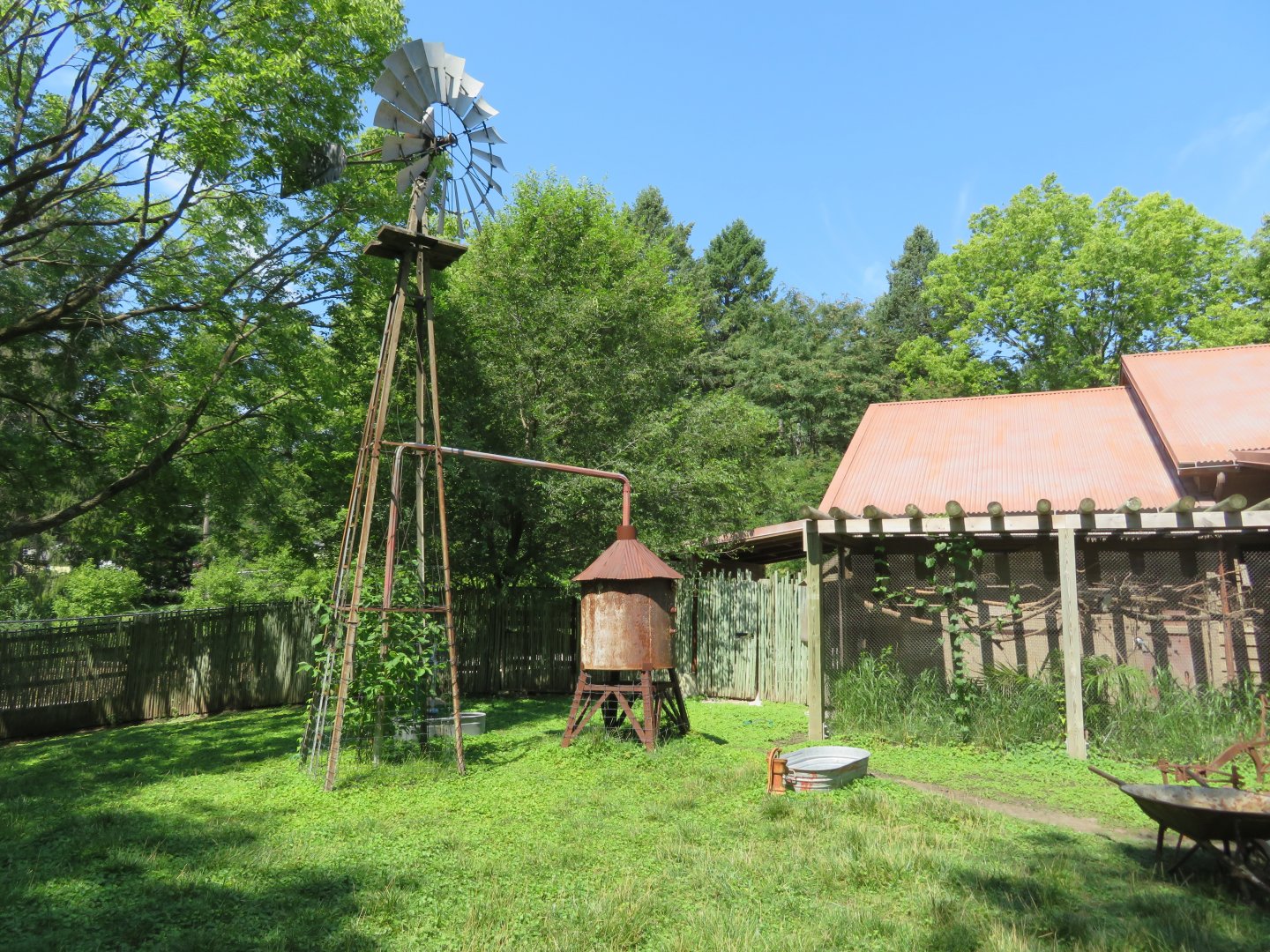 Australian Adventure