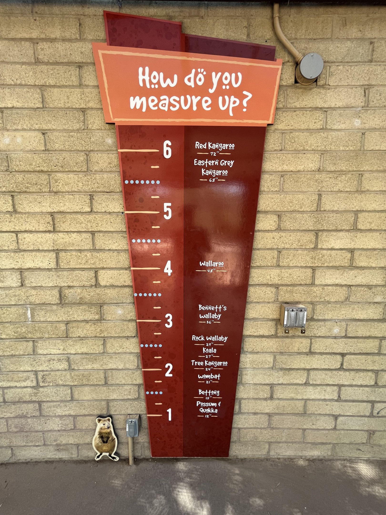 Australian Adventures - New in 2020