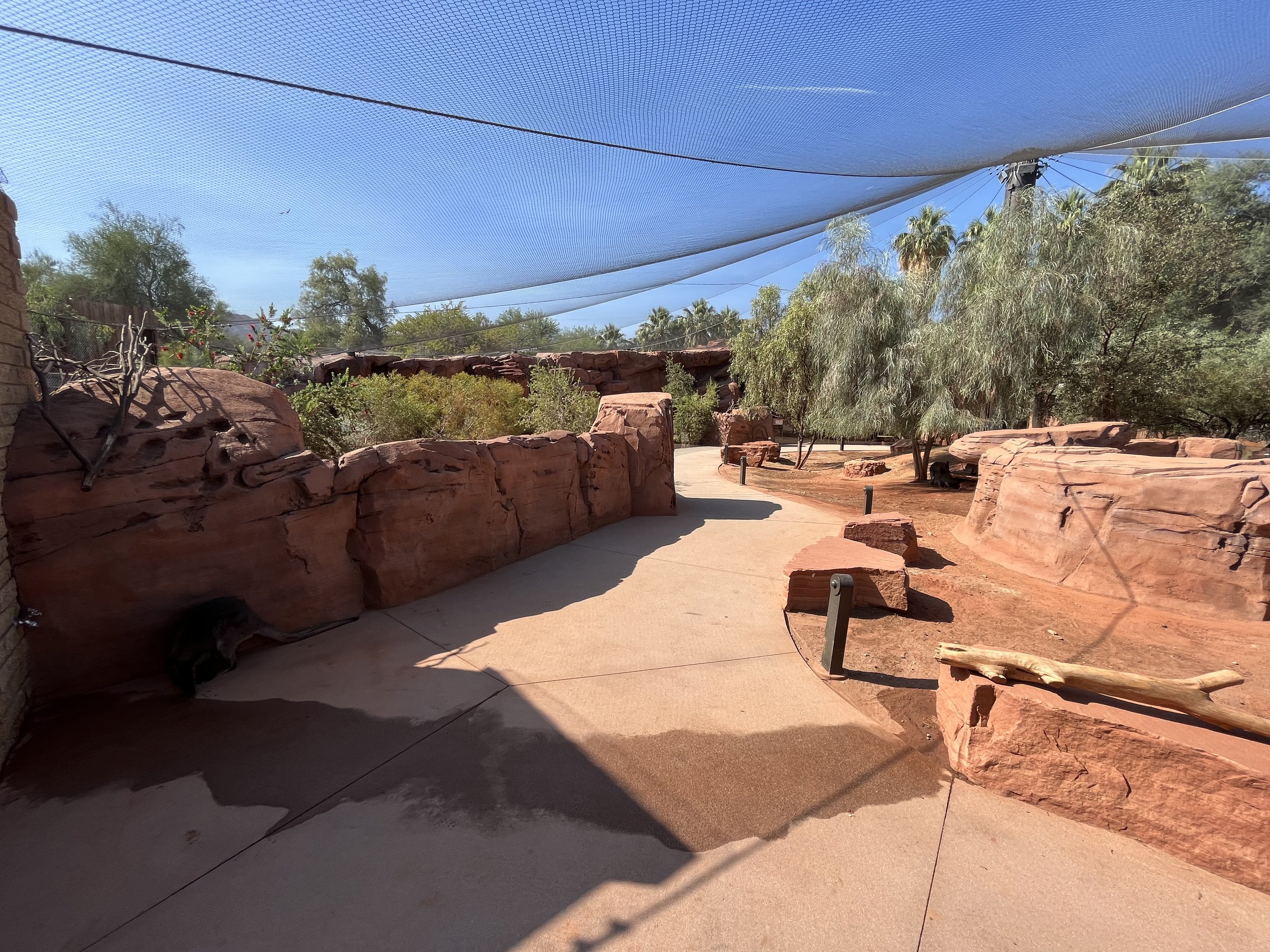 Australian Adventures - New in 2020