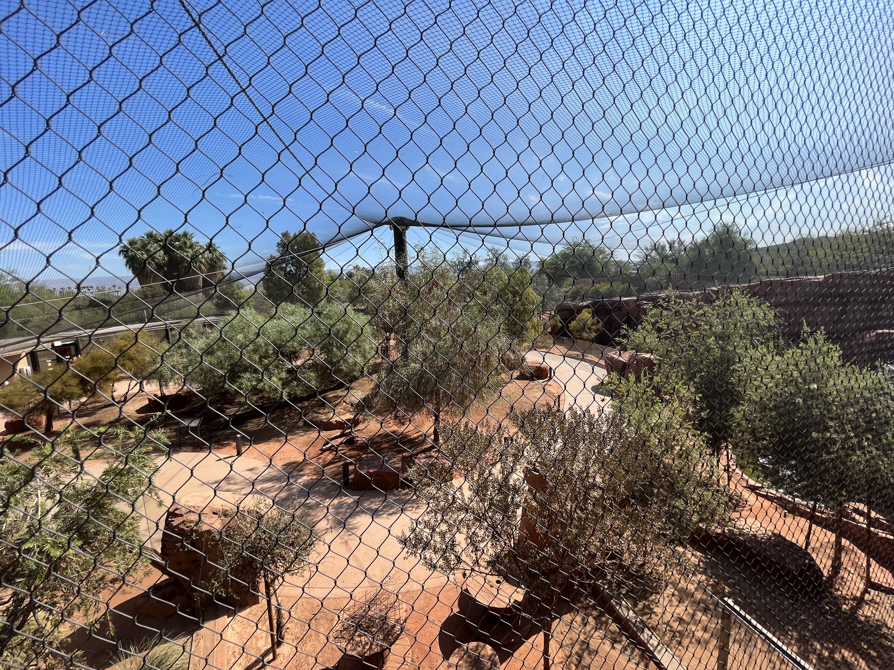 Australian Adventures - New in 2020