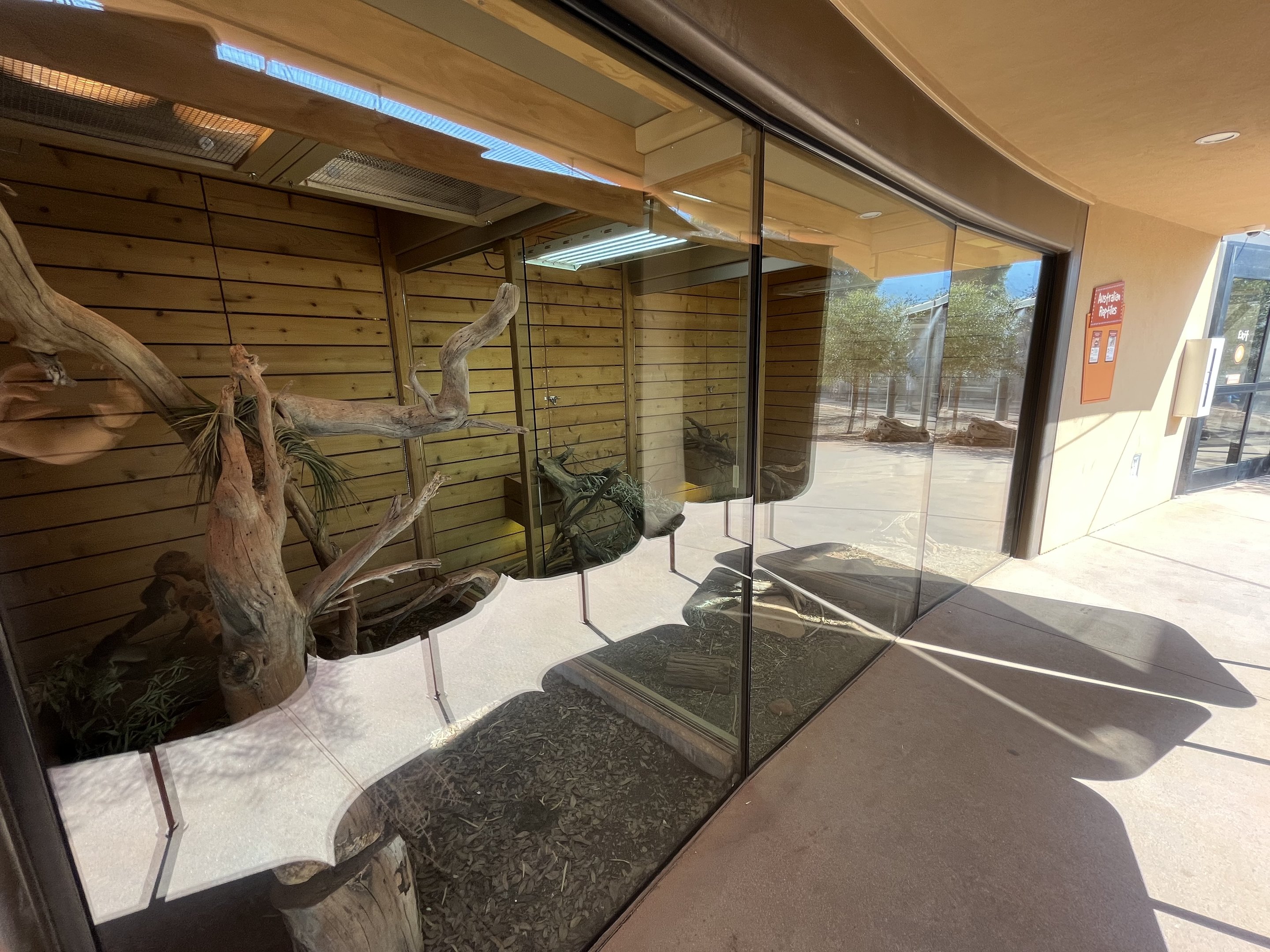 Australian Adventures - reptile exhibits