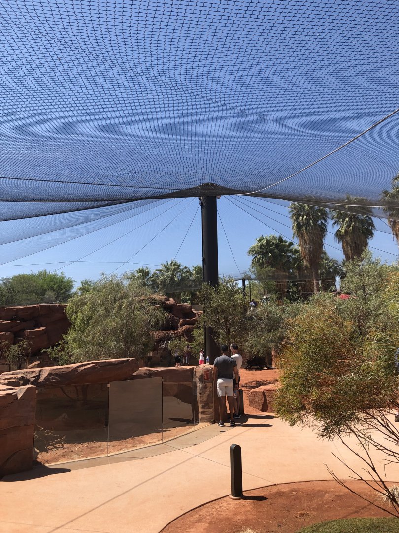 Australian Adventures