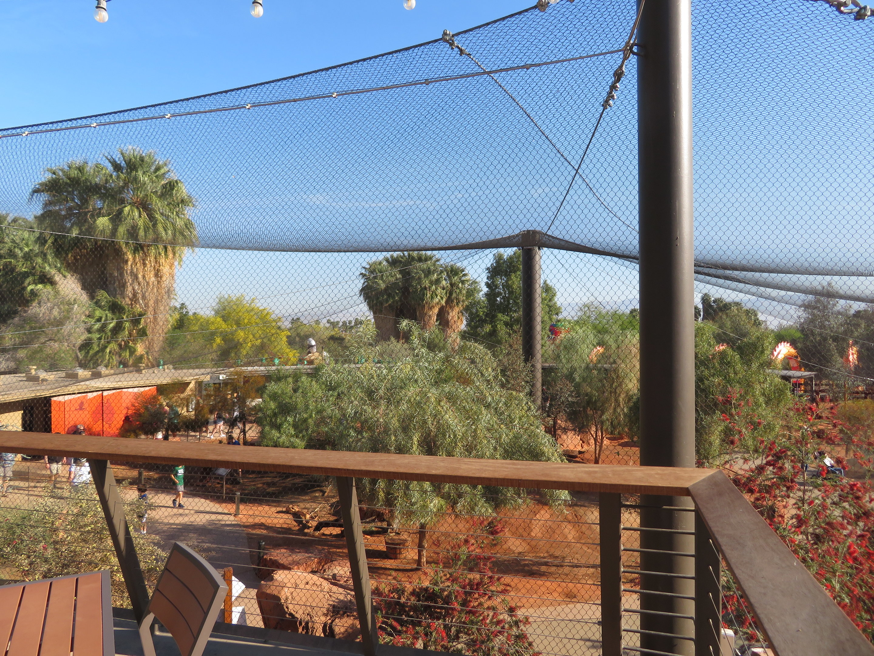 Australian Adventures