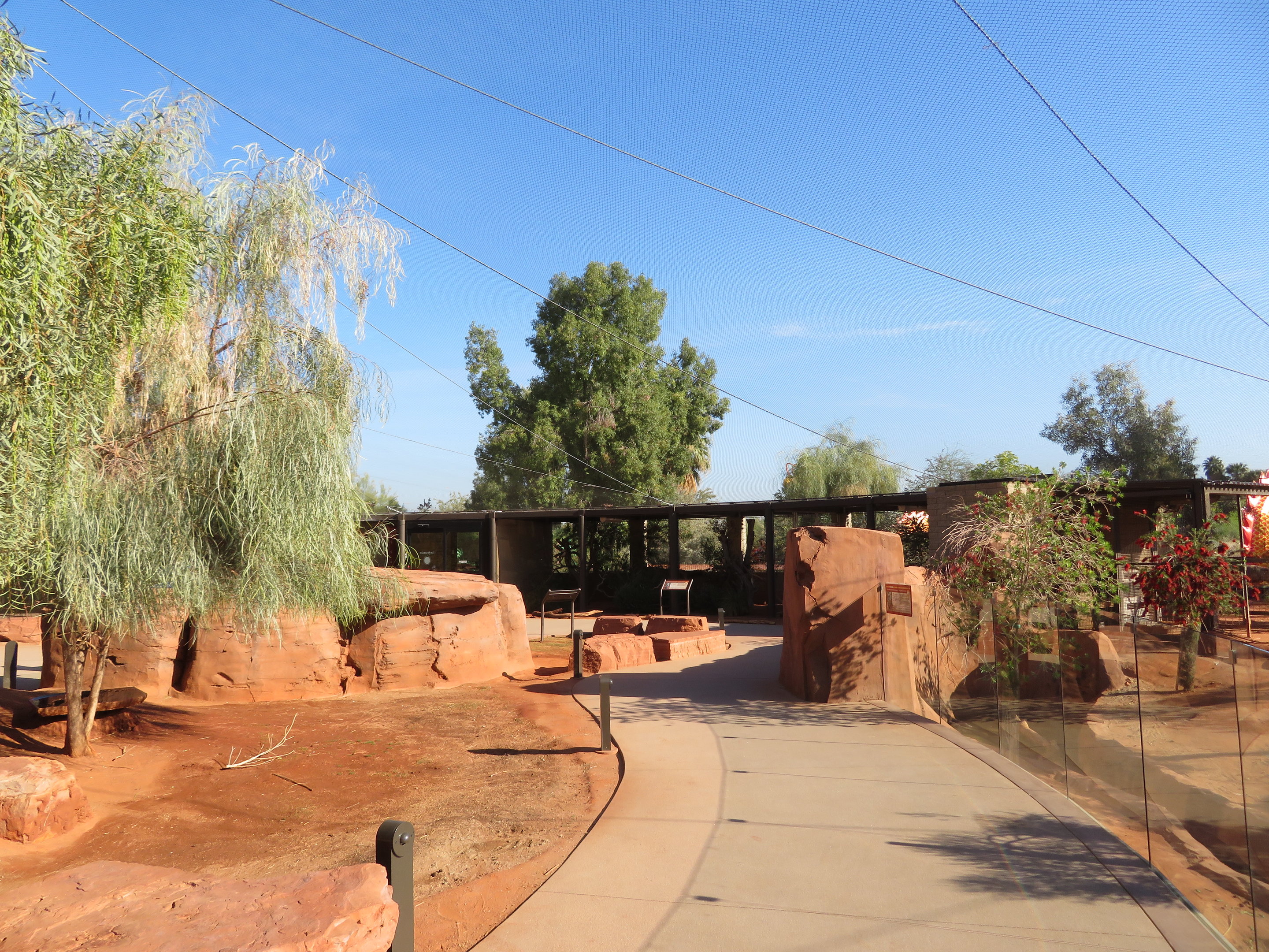 Australian Adventures