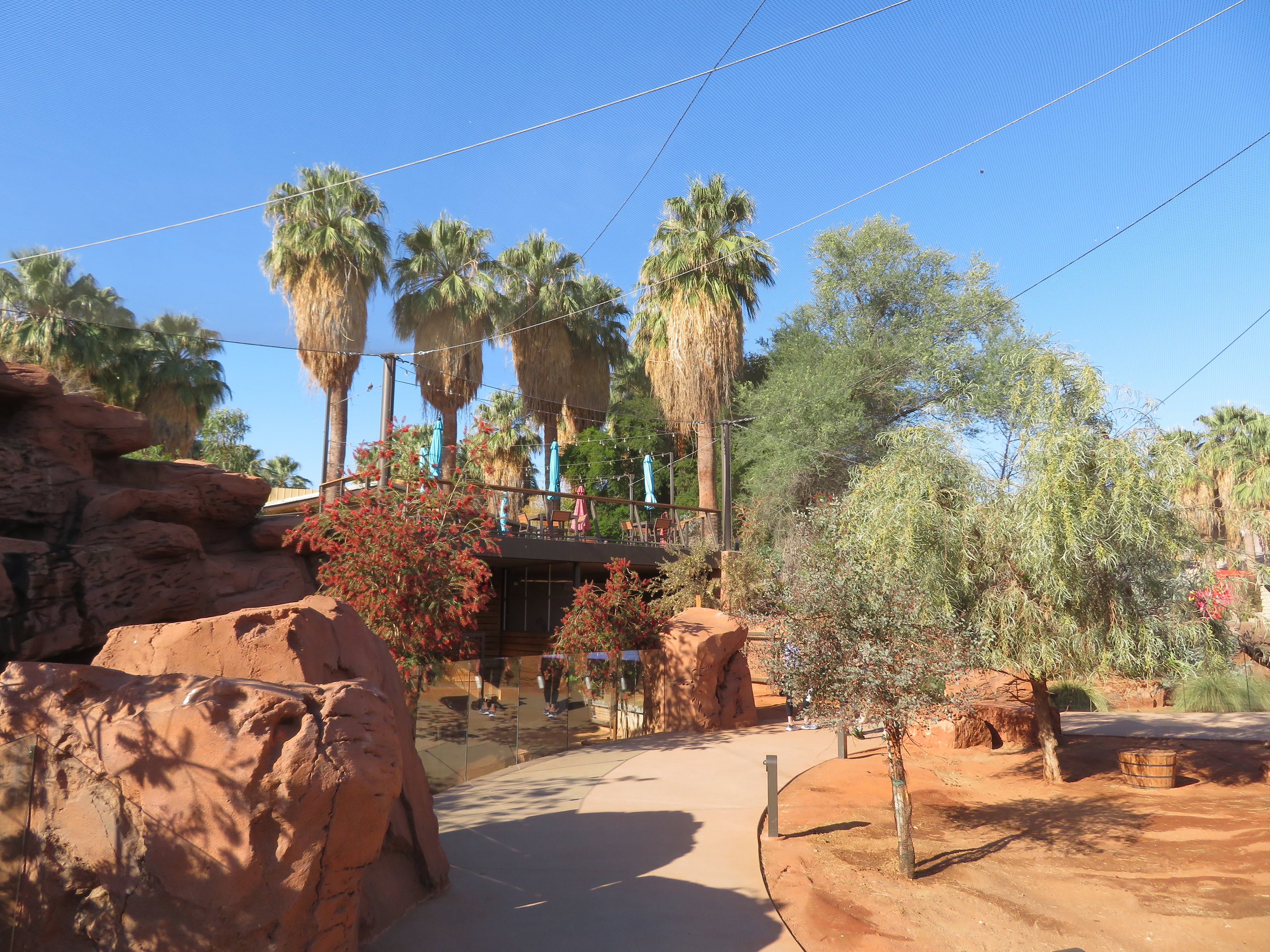 Australian Adventures