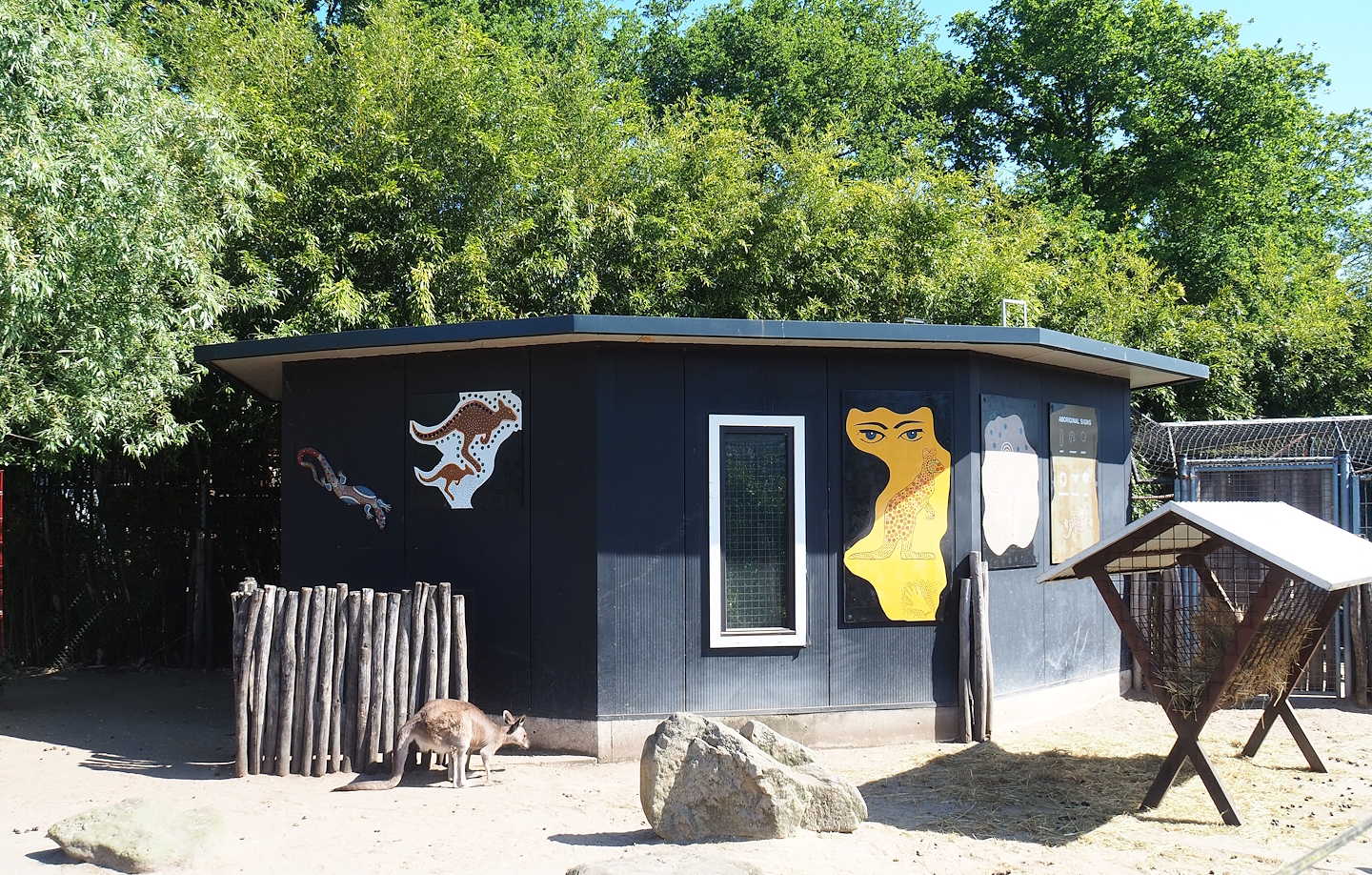 Australian animal barn, 2023-05-31