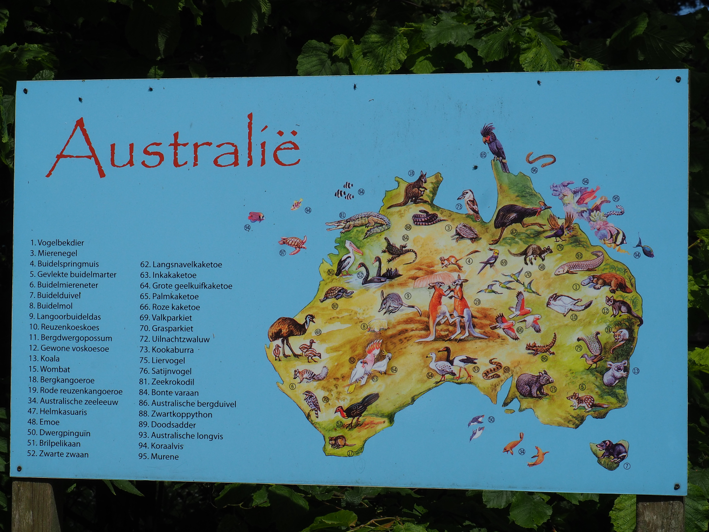 Australian animals sign, 2019-06-01