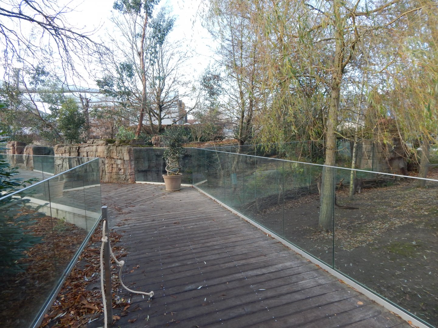 Australian area 261124