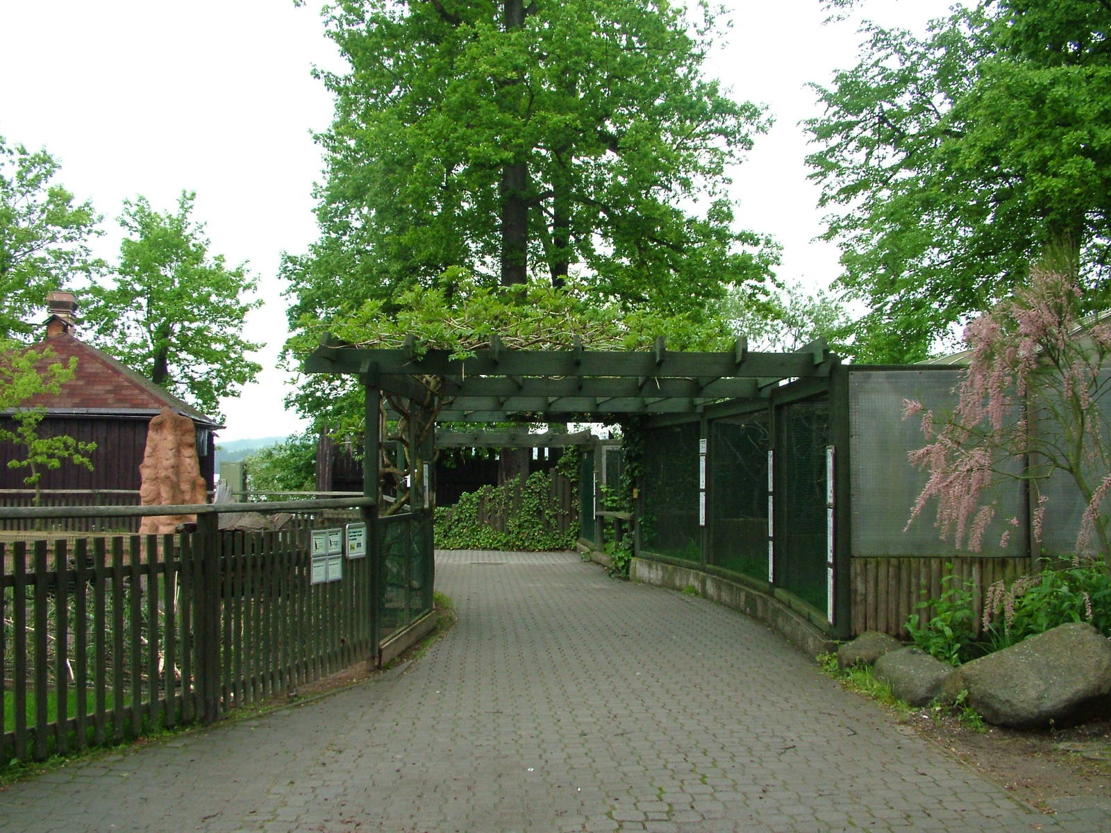 Australian area at Ohrada, 26/05/10