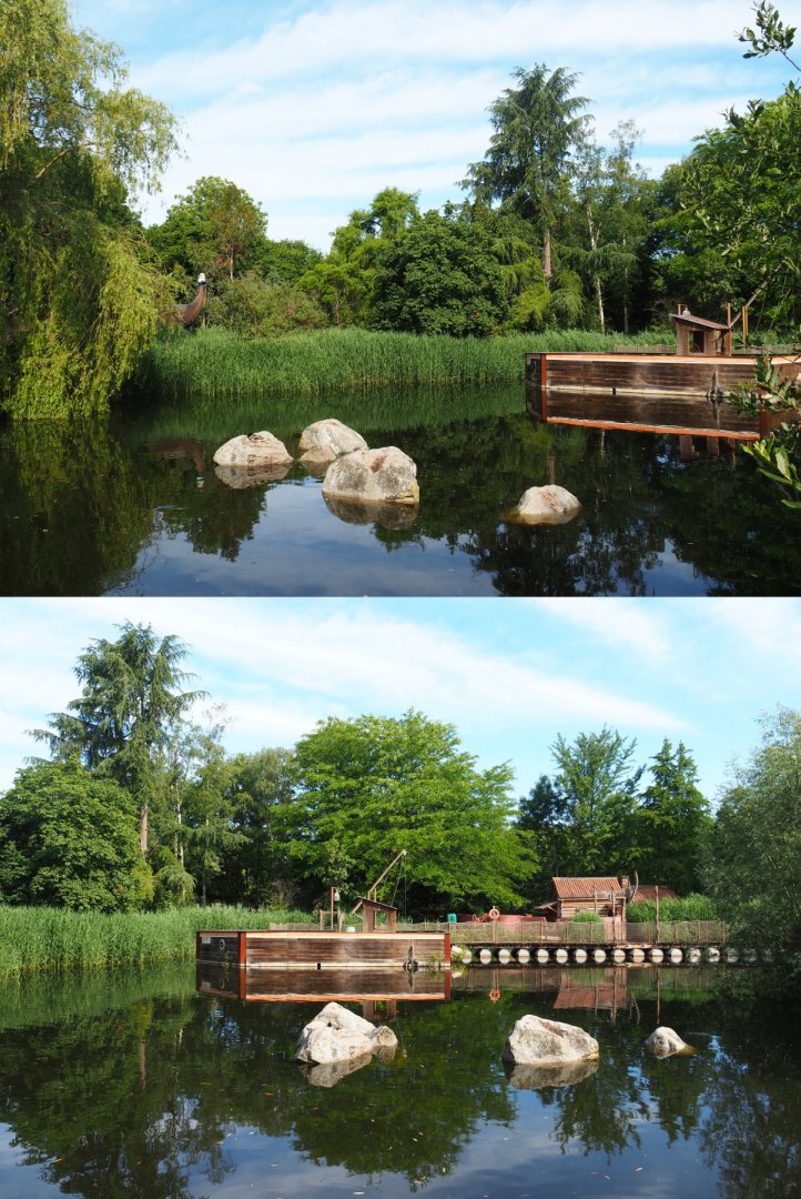 Australian area pond, 2020-06-12