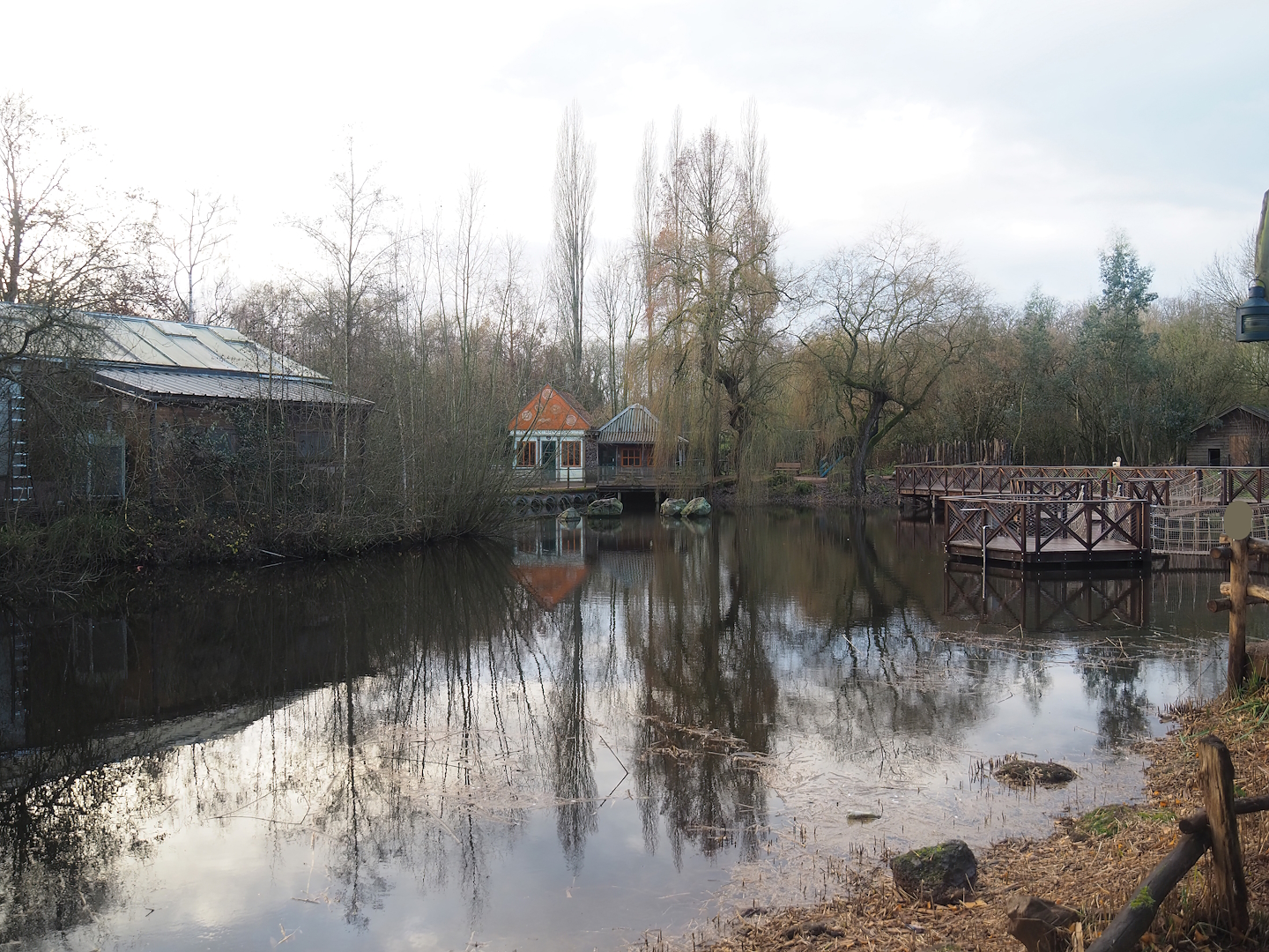 Australian area pond, 2022-12-27