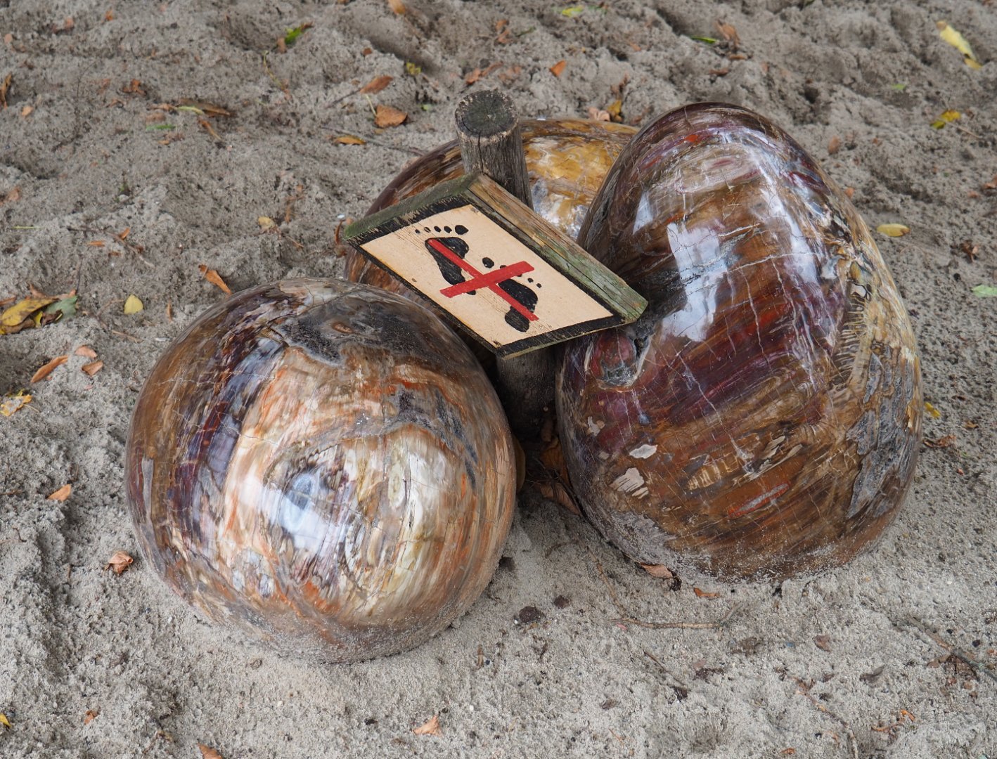 Australian area theming - Weird shiny egg-shaped rocks, 2019-10-04