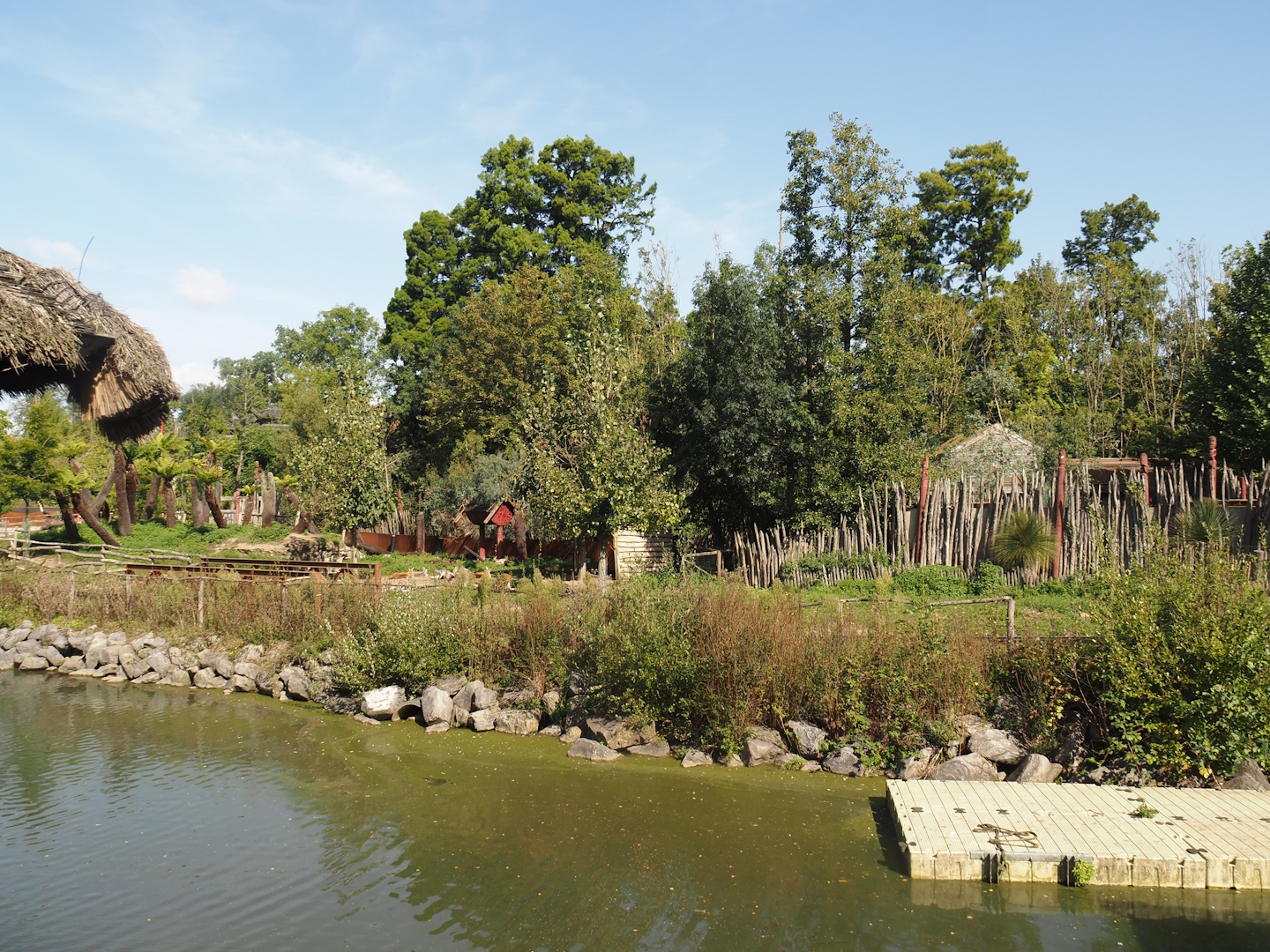 Australian area with train tracks, Emu, Kangaroo and Wallaby area and part of Tasmanian devil exhibit, 2024-09-17