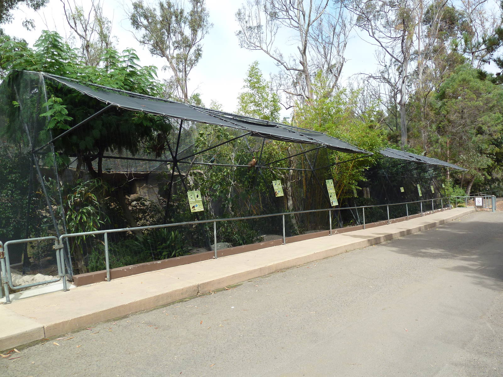 Australian/Asian Aviaries