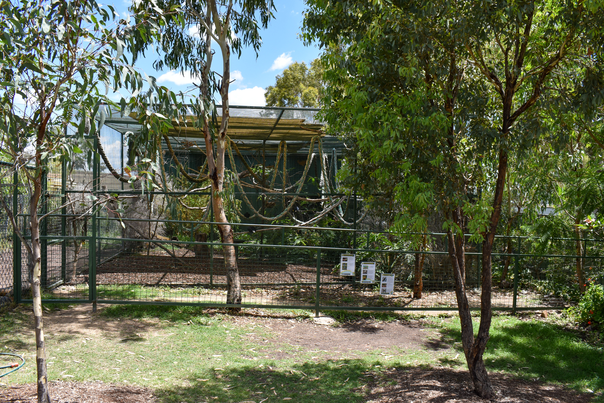 Australian/Asian Bird Aviary