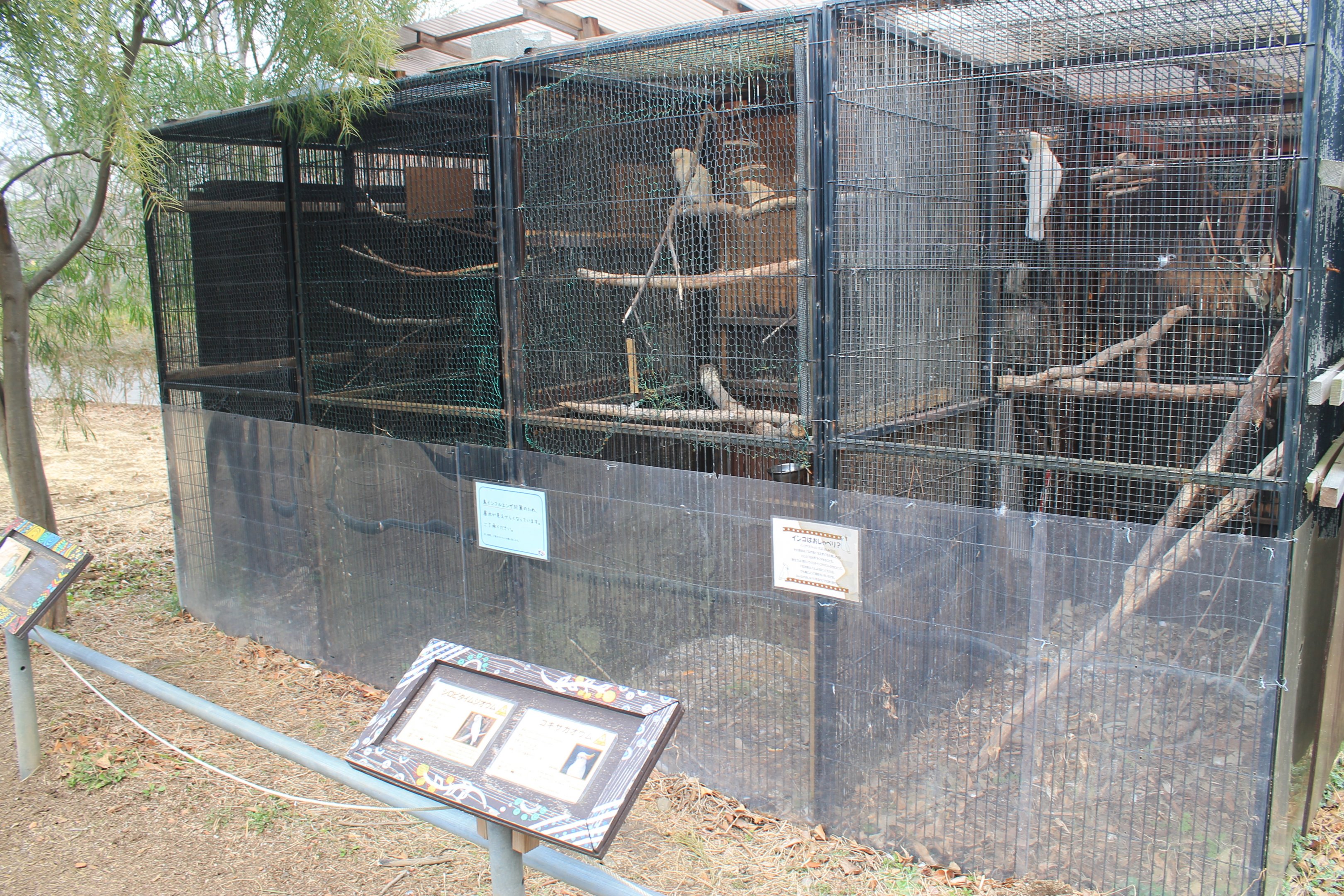Australian aviaries - Saitama Childrens Zoo
