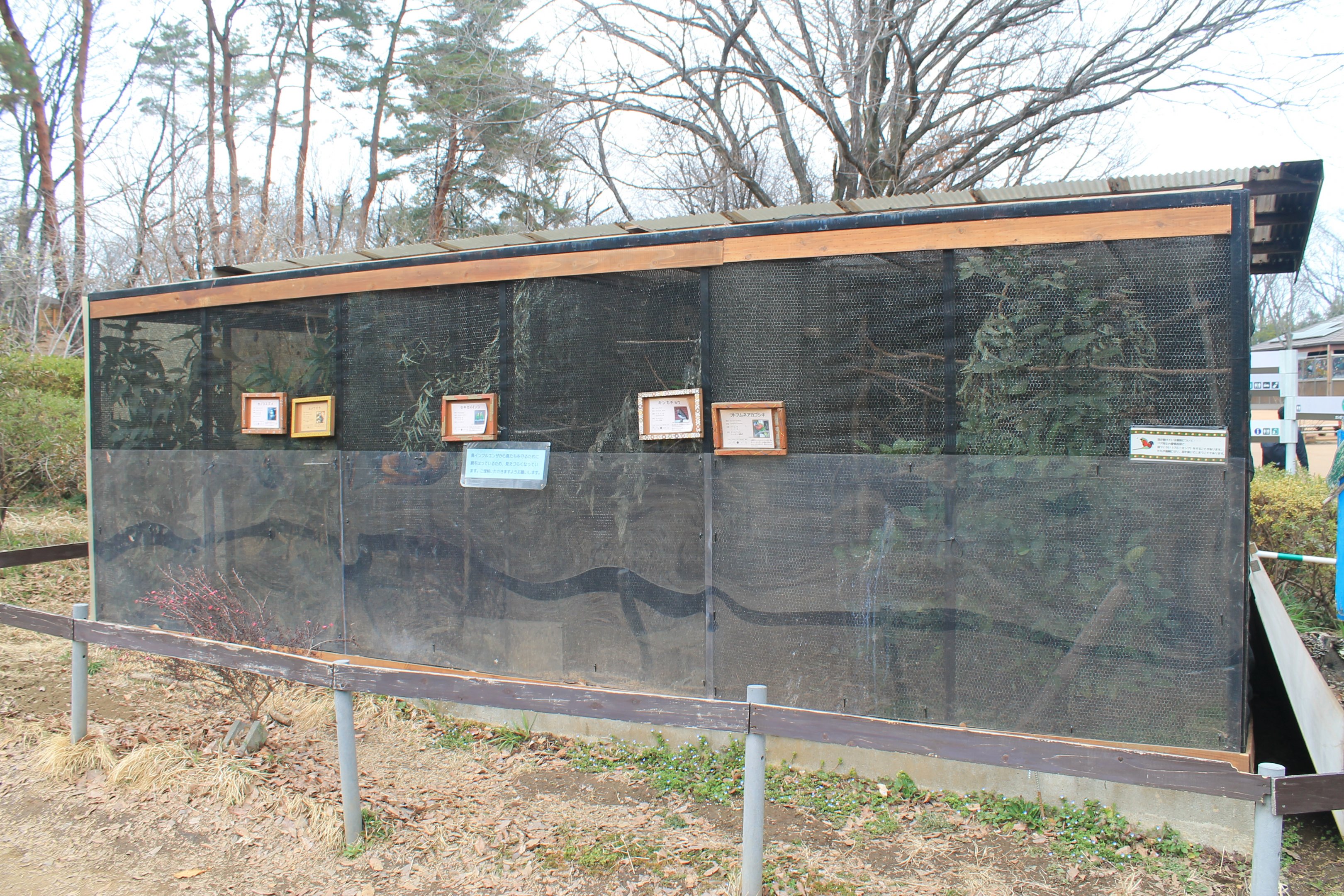 Australian aviaries - Saitama Childrens Zoo