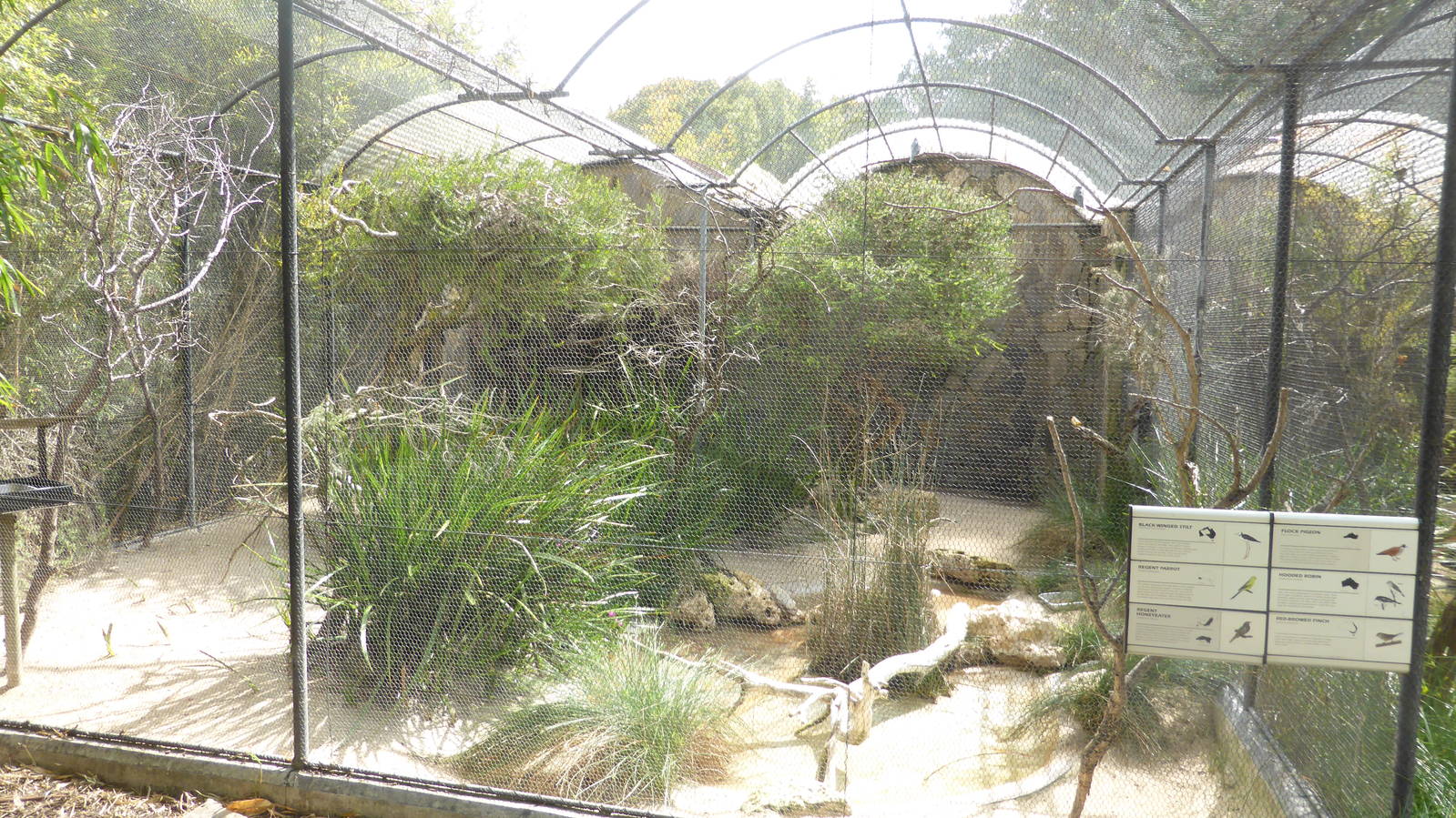 Australian aviaries
